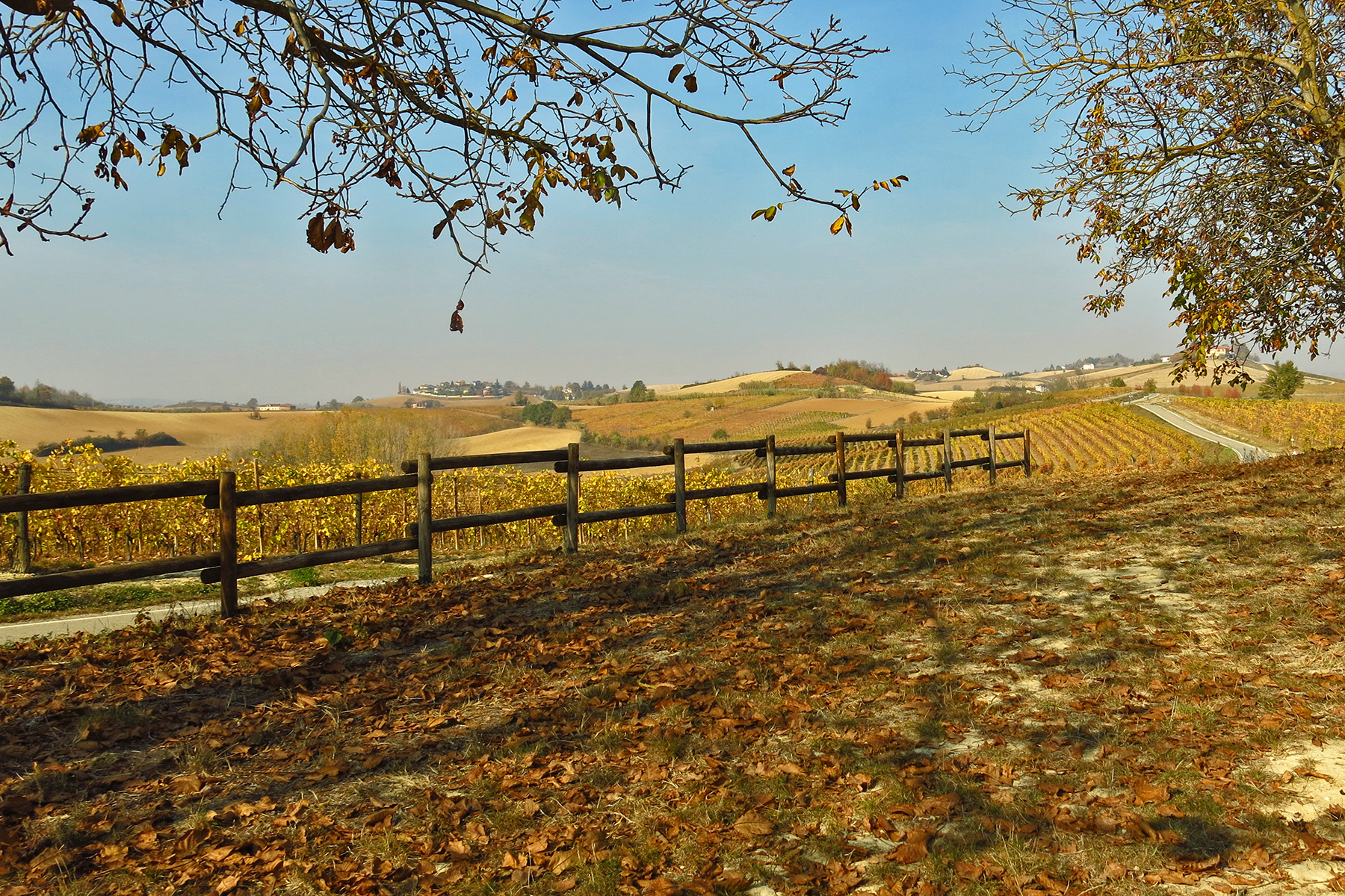Accenno d'autunno in collina