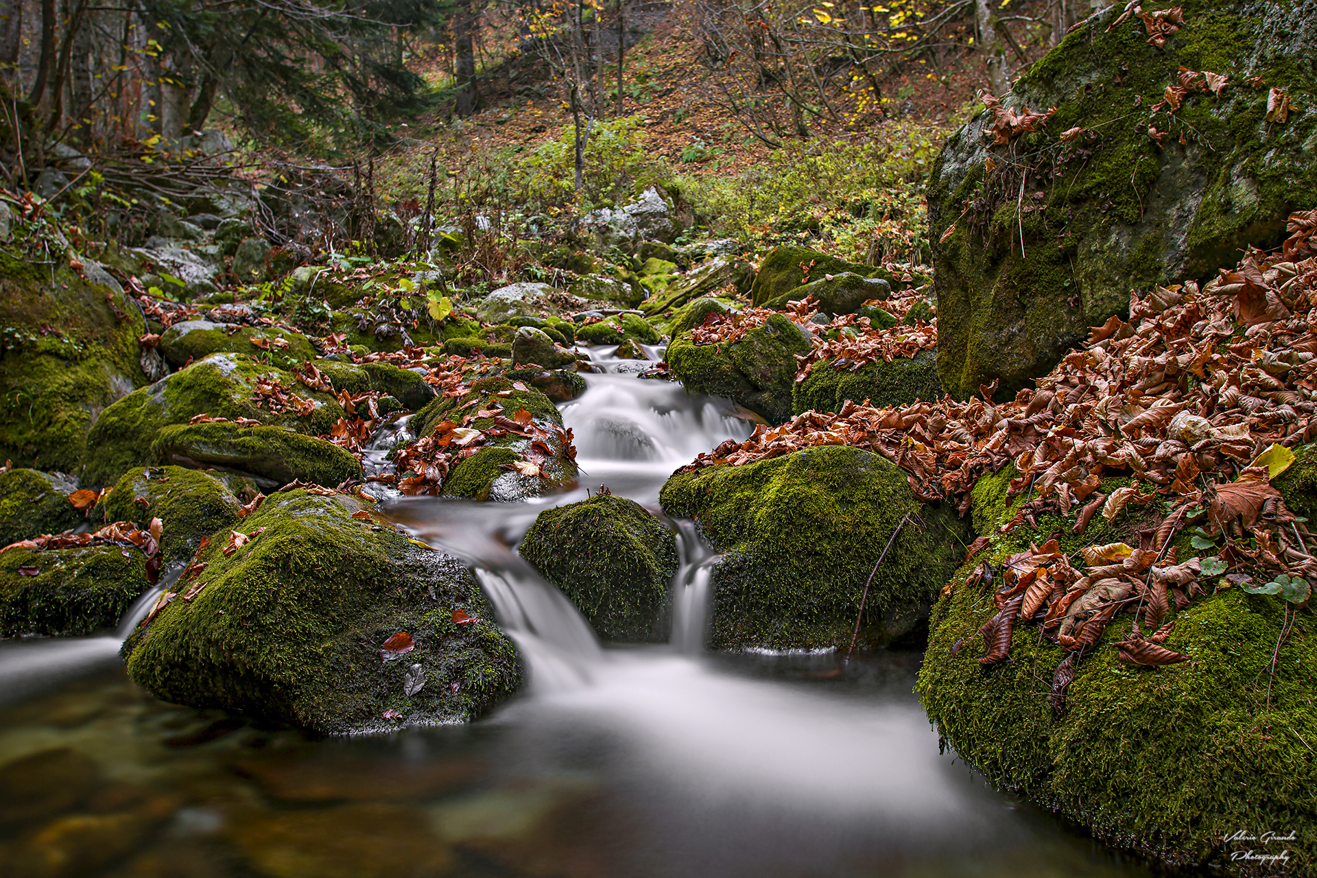 The little water in the Pesio