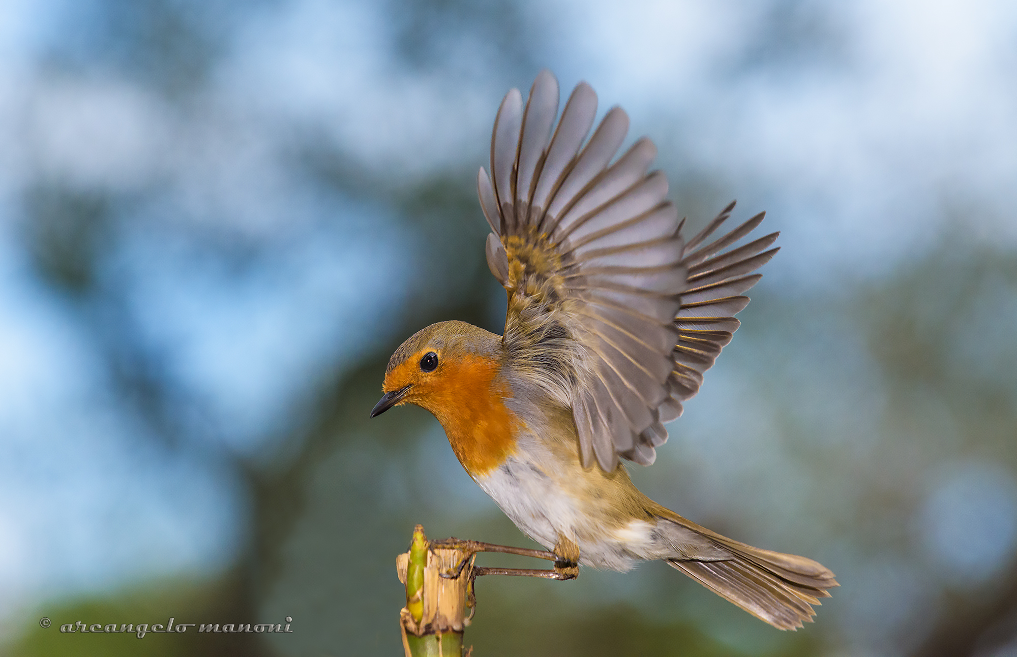 Healing the engines of the flight