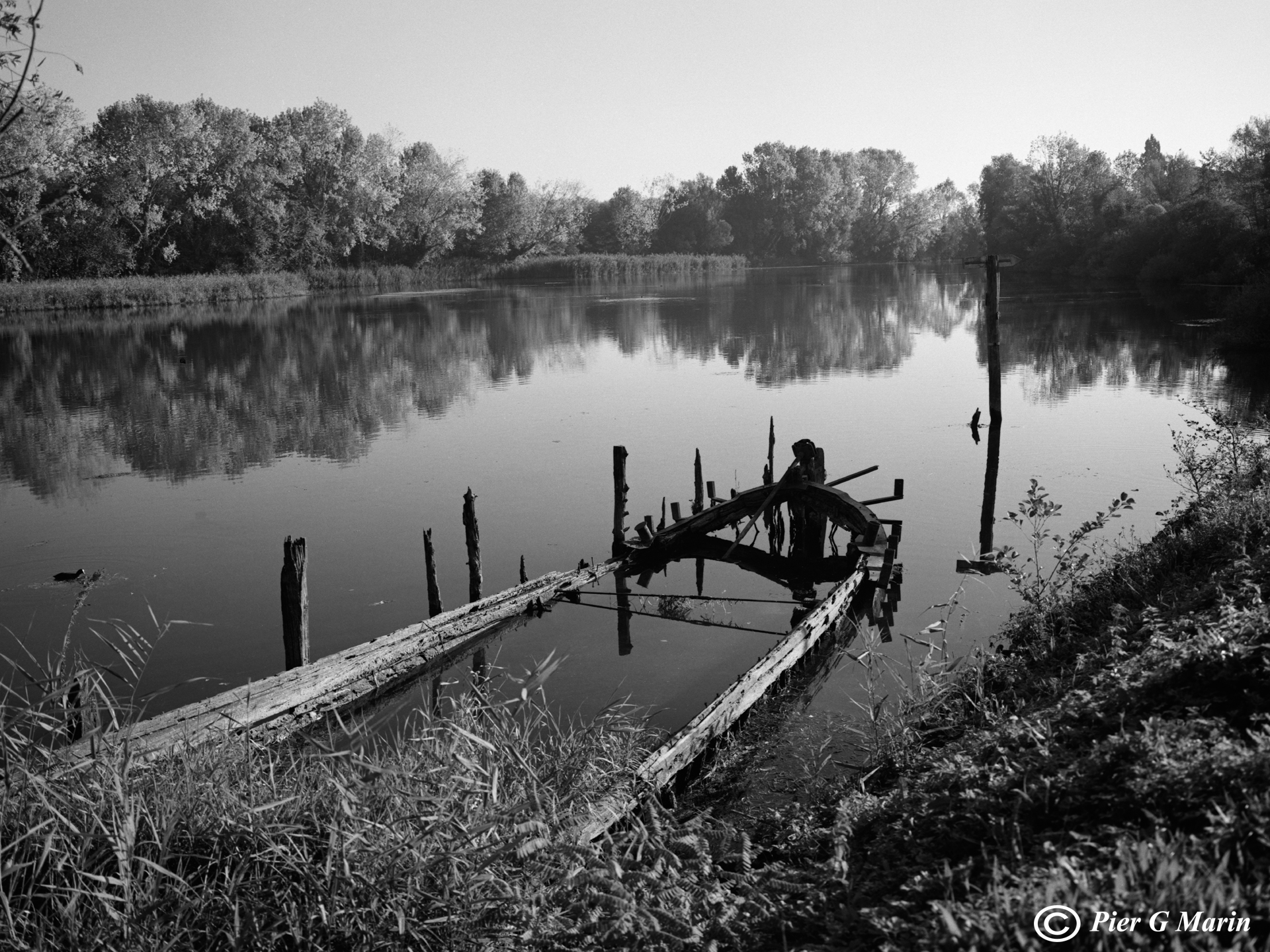 Veneto. River Sile-2