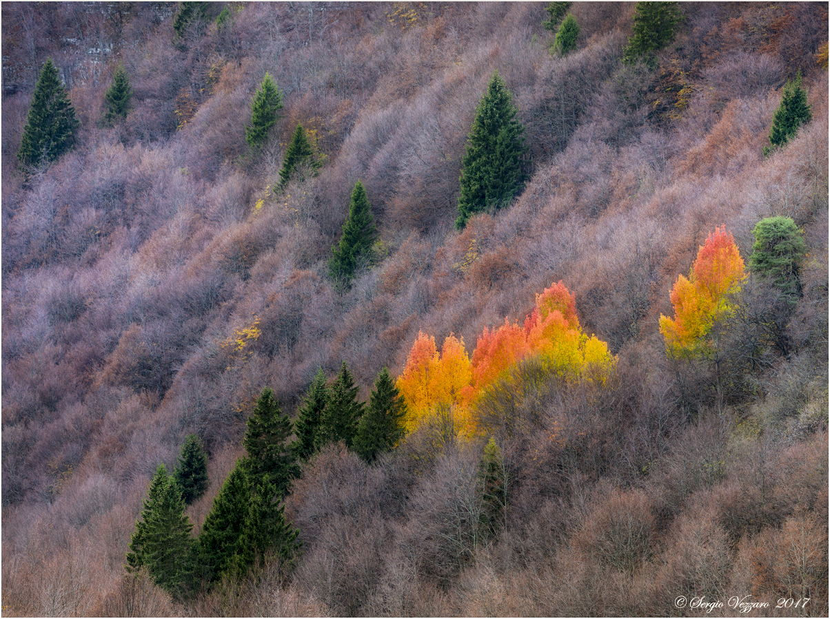 To the fire ... to the fire