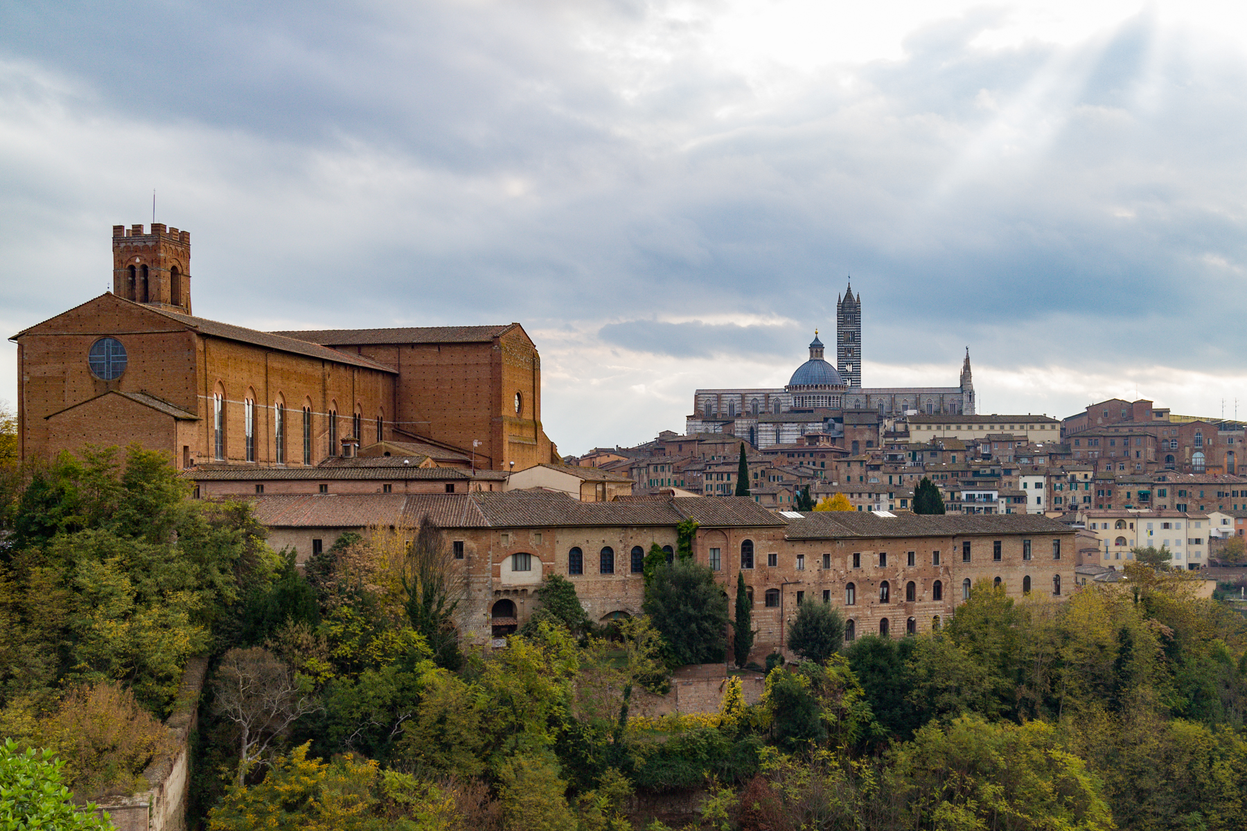 Siena