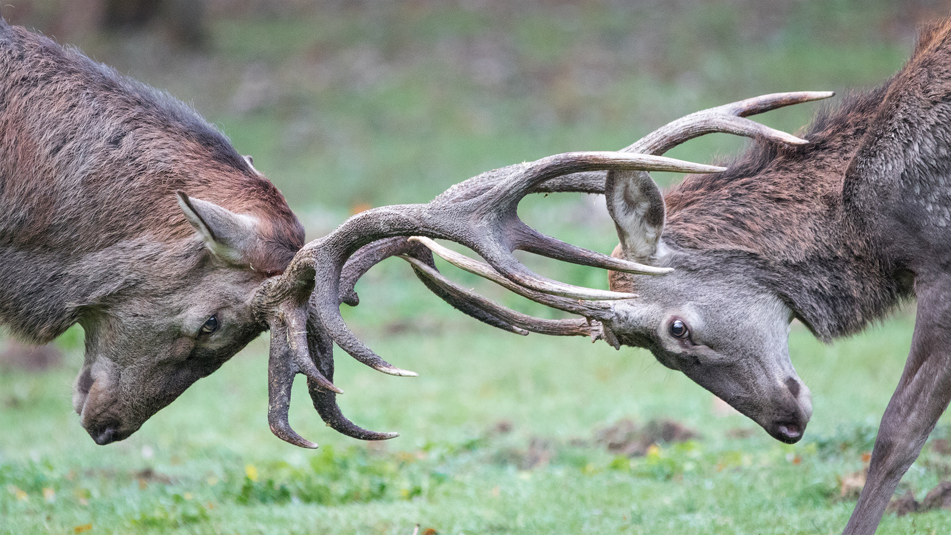 Due età a confronto