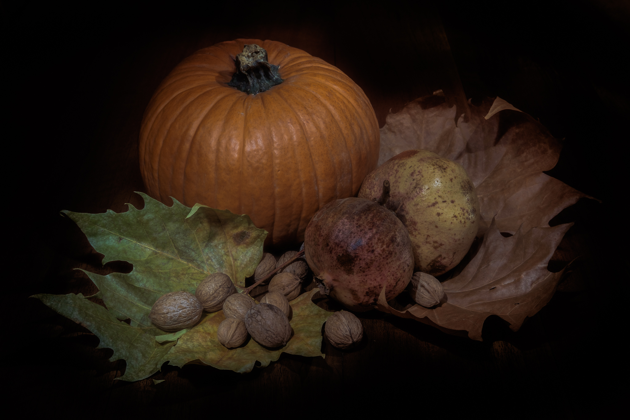 Autumn light painting