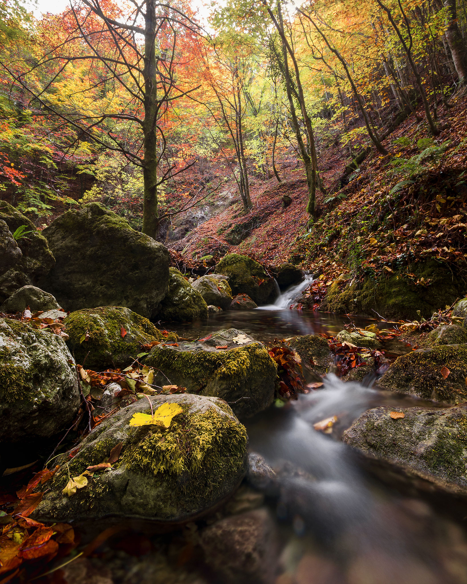 Sources of the River Saturday, Serino (av)