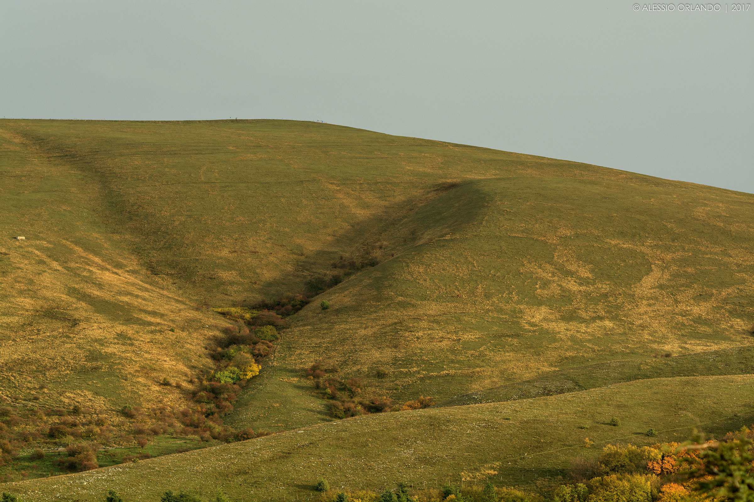 The "Y" of the prairie