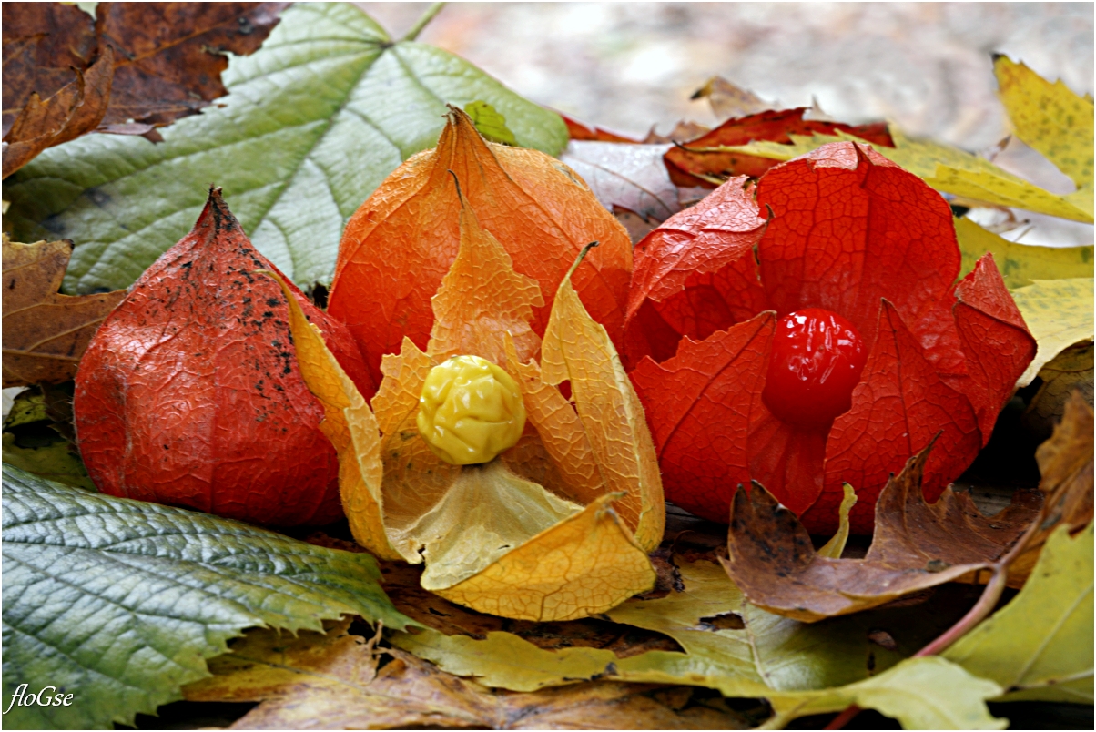 I colori dei tempi attuali