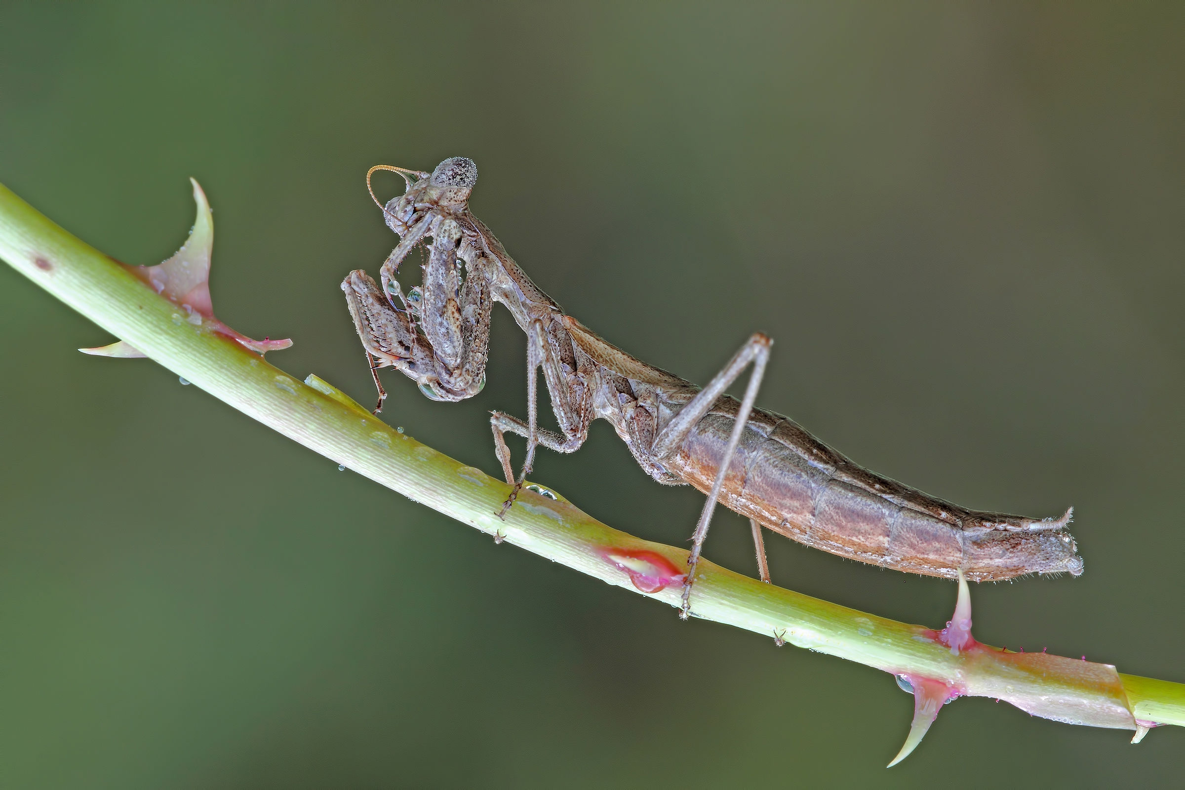 .... check the antennas !!!