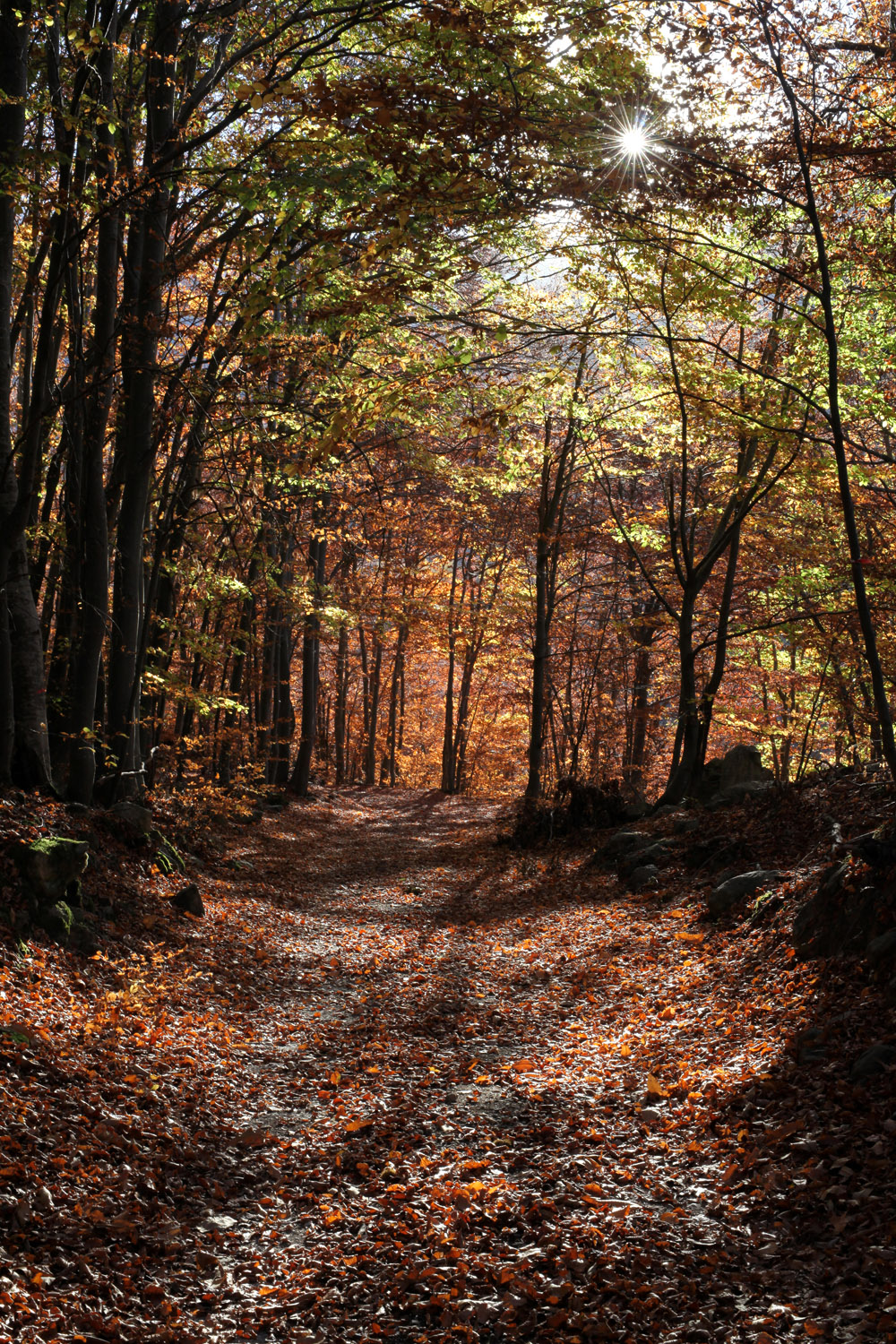 l'estate sta finendo