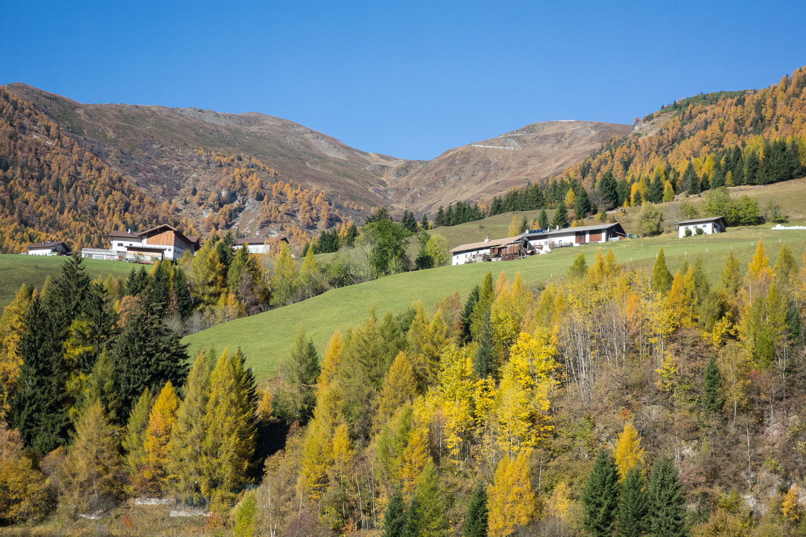 colori autunnali in alto adige