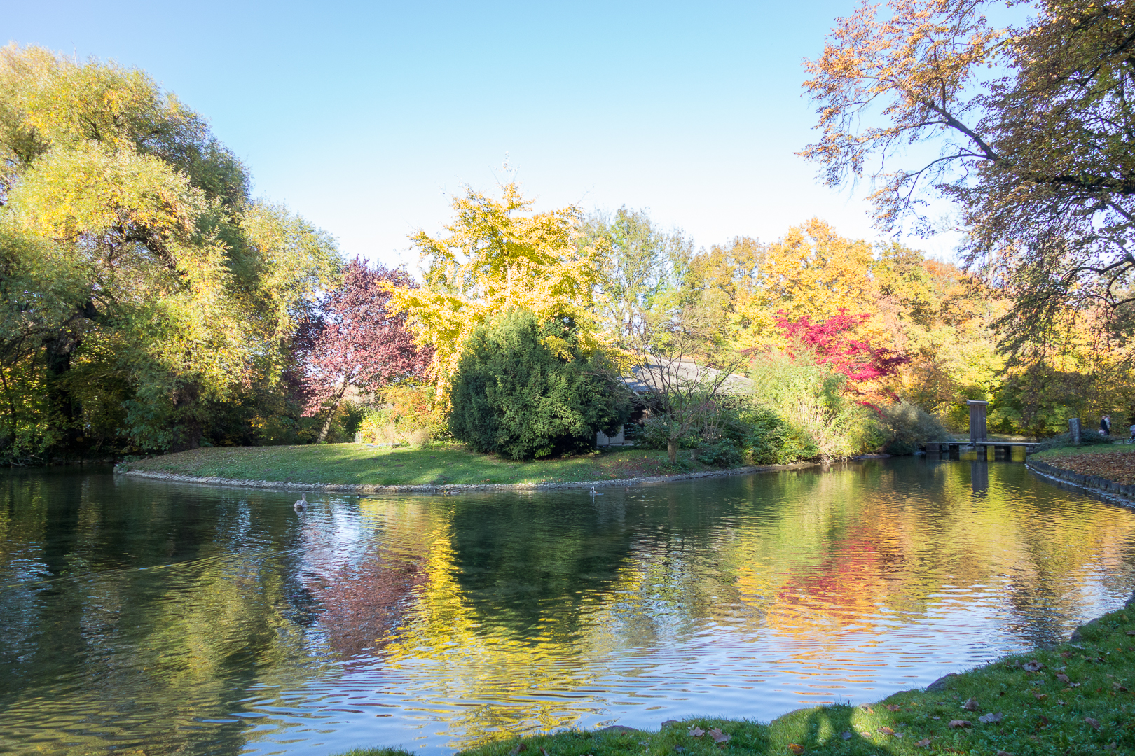 colori autunnali a monaco di baviera
