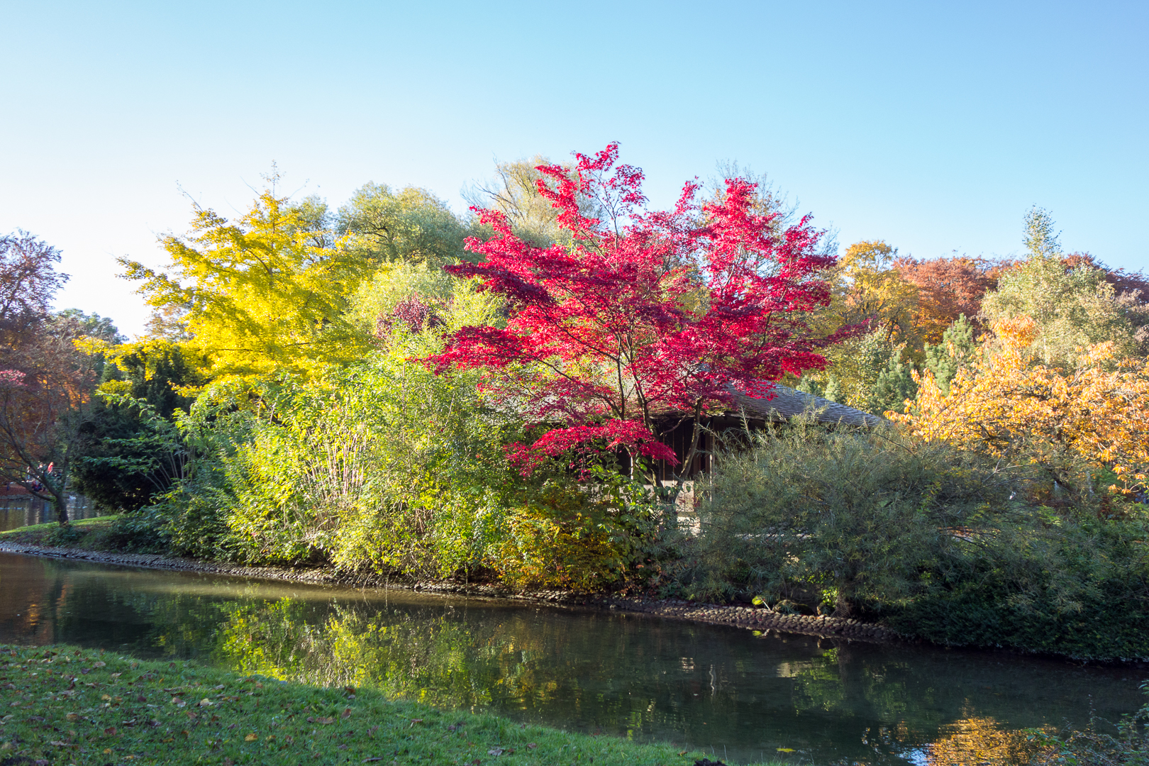 autumn colors in monaco of bavaria