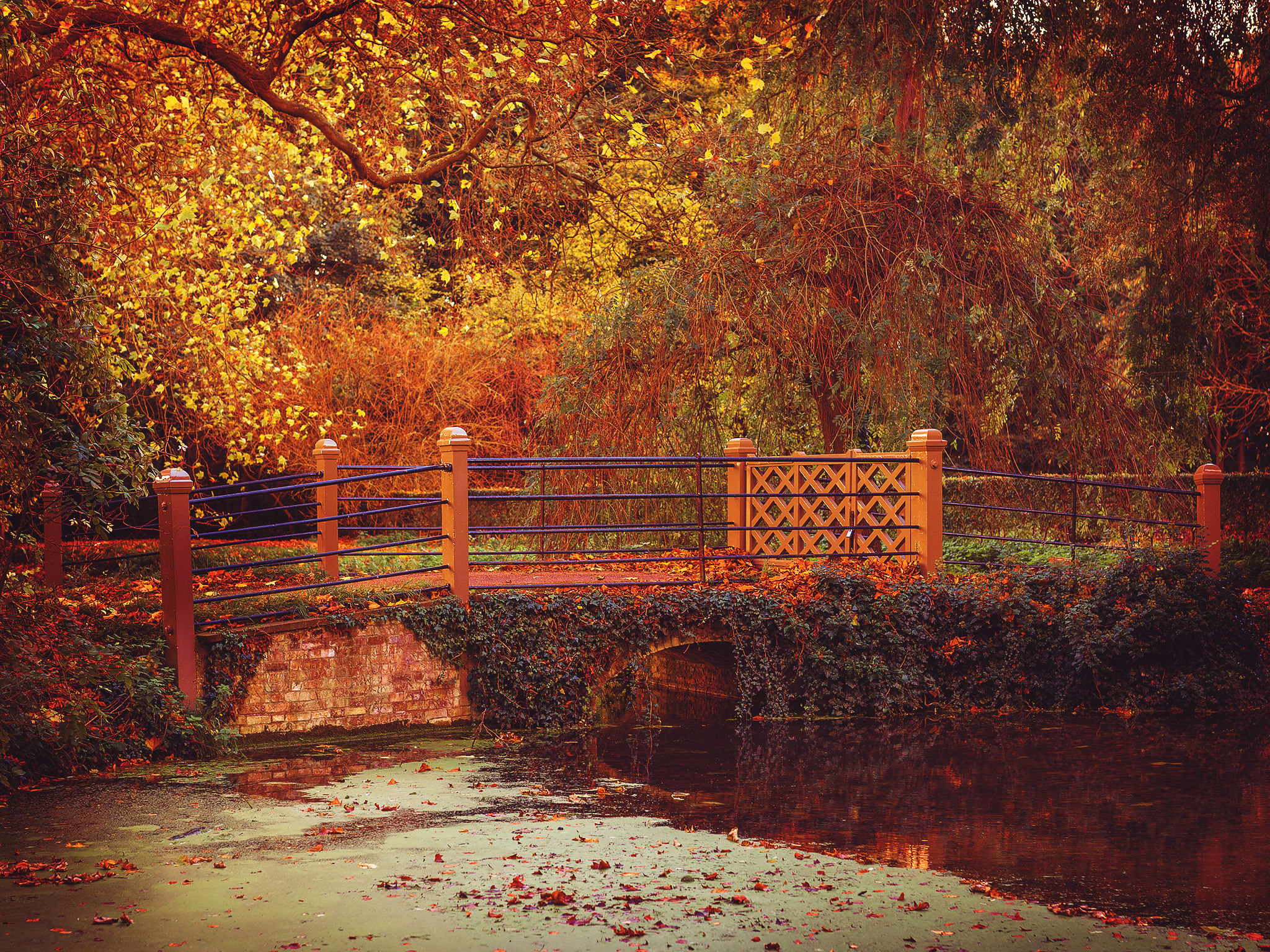 Shall We Cross This Bridge Together?