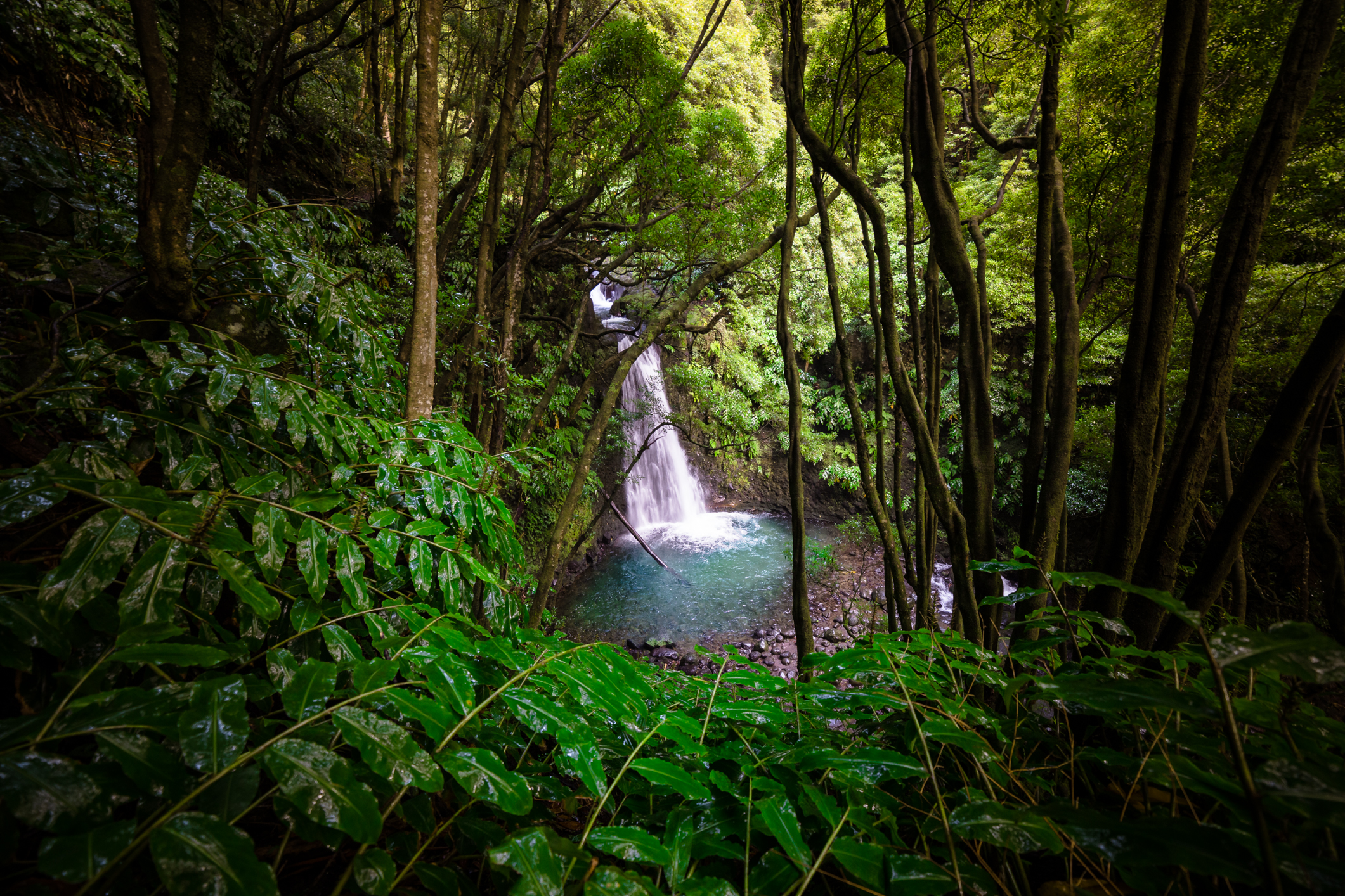 Salto Do Prego, Azores