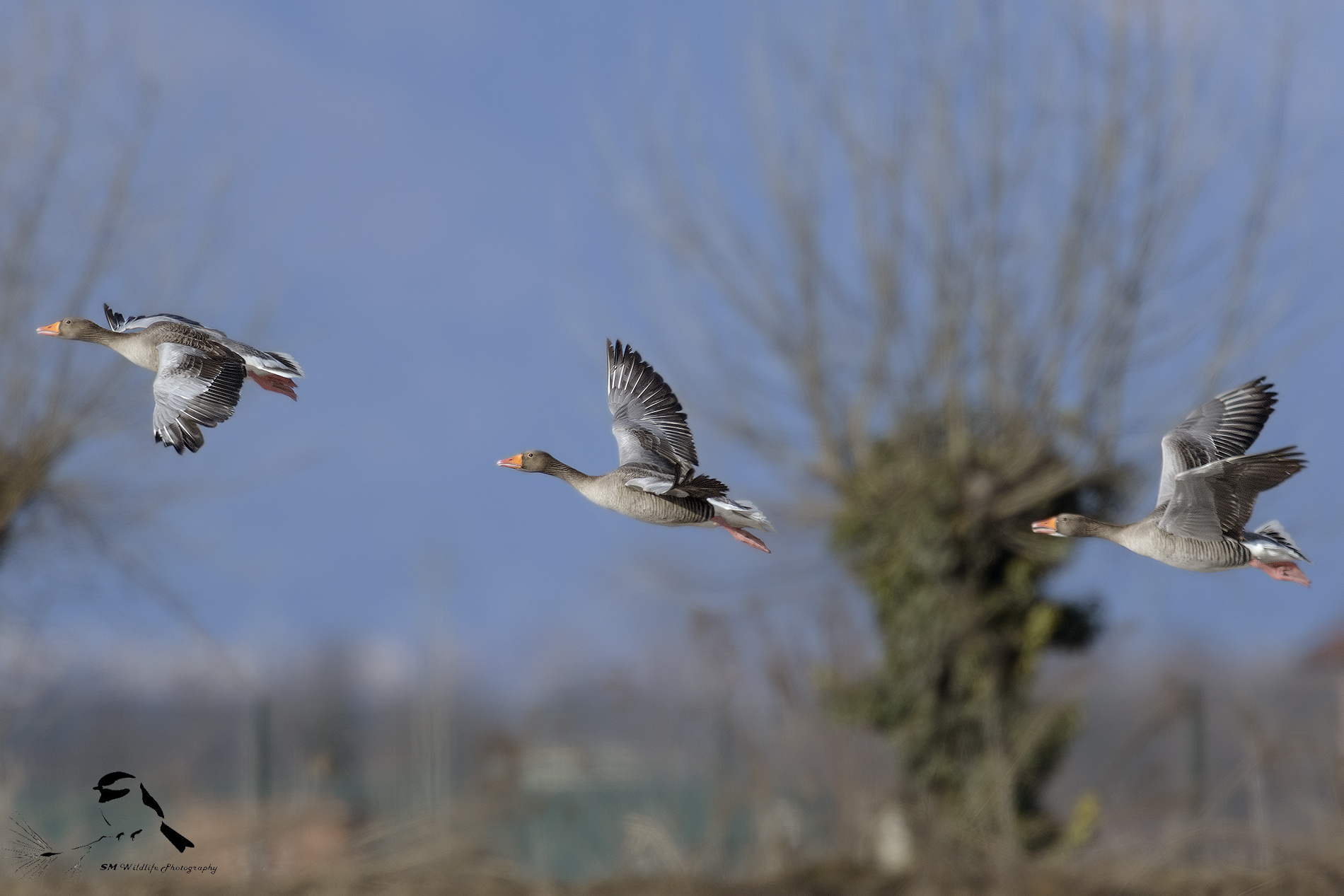 Uphill in what Indiana