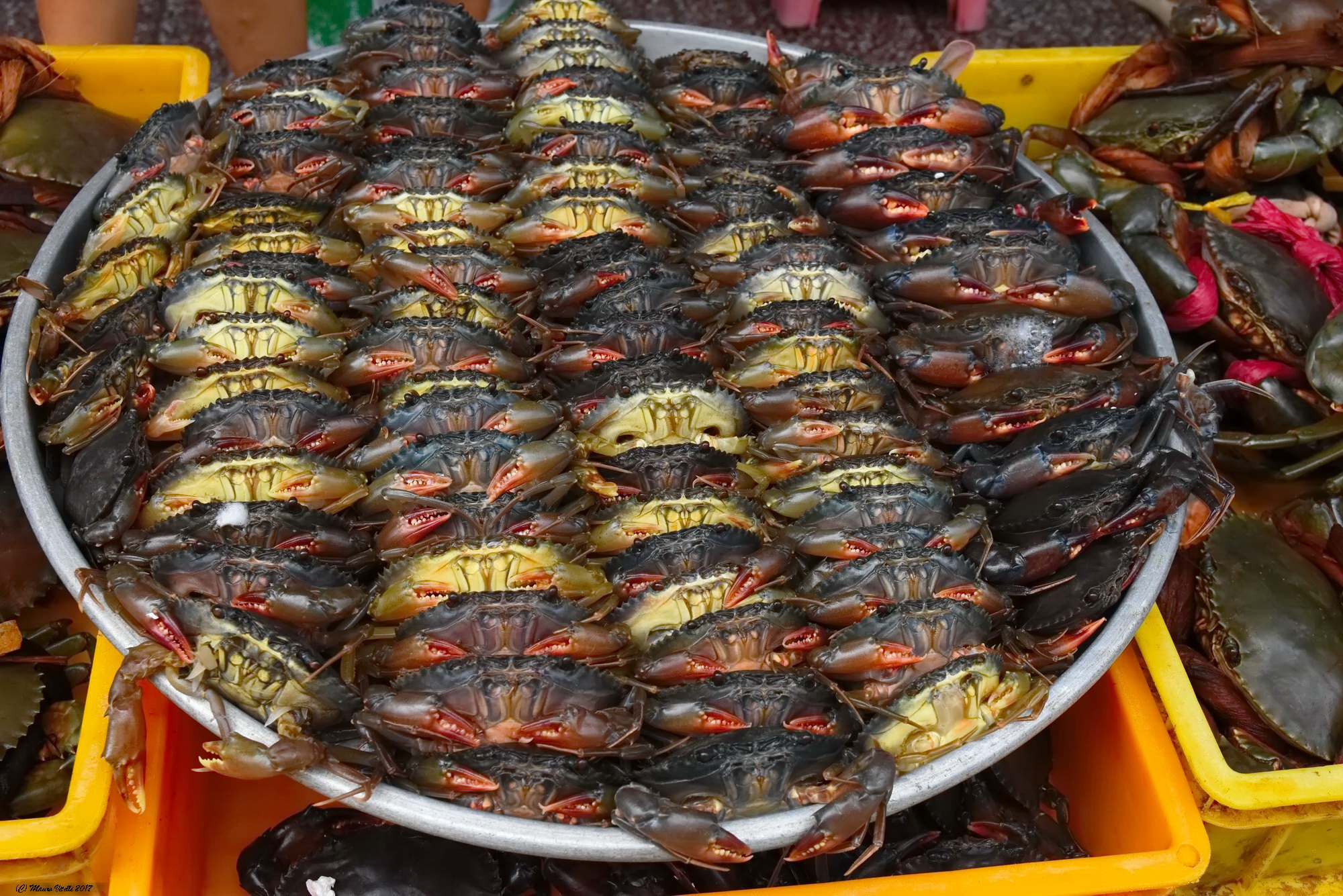 At the Fish Market (Saigon)
