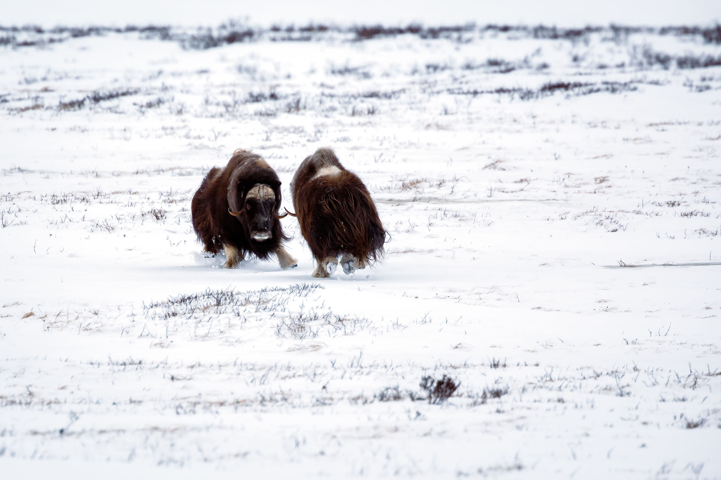 Impatto in 3... 2... 1...