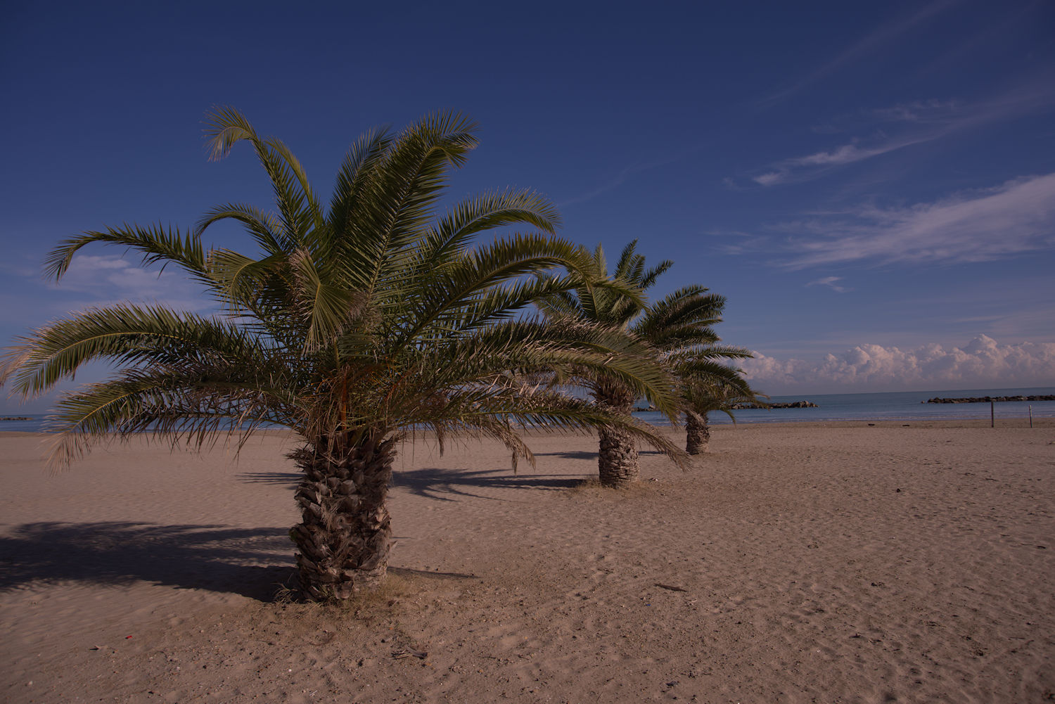 beach, San Benedetto del Tronto