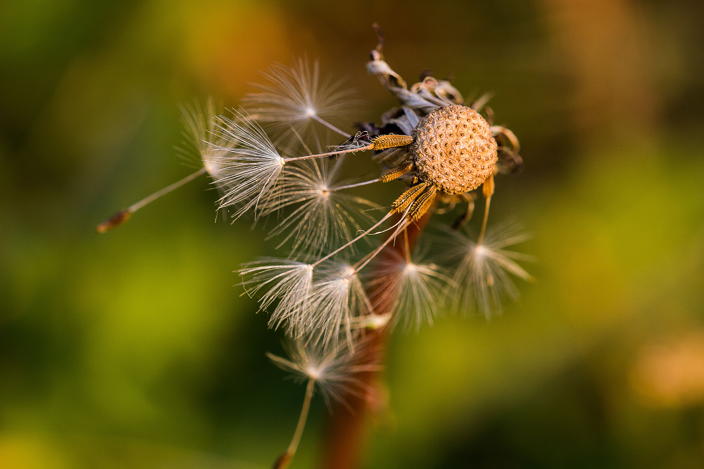 those who remain of a shower