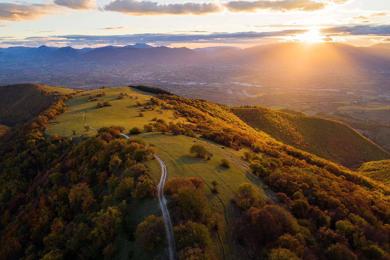 high altitude woods and meadows