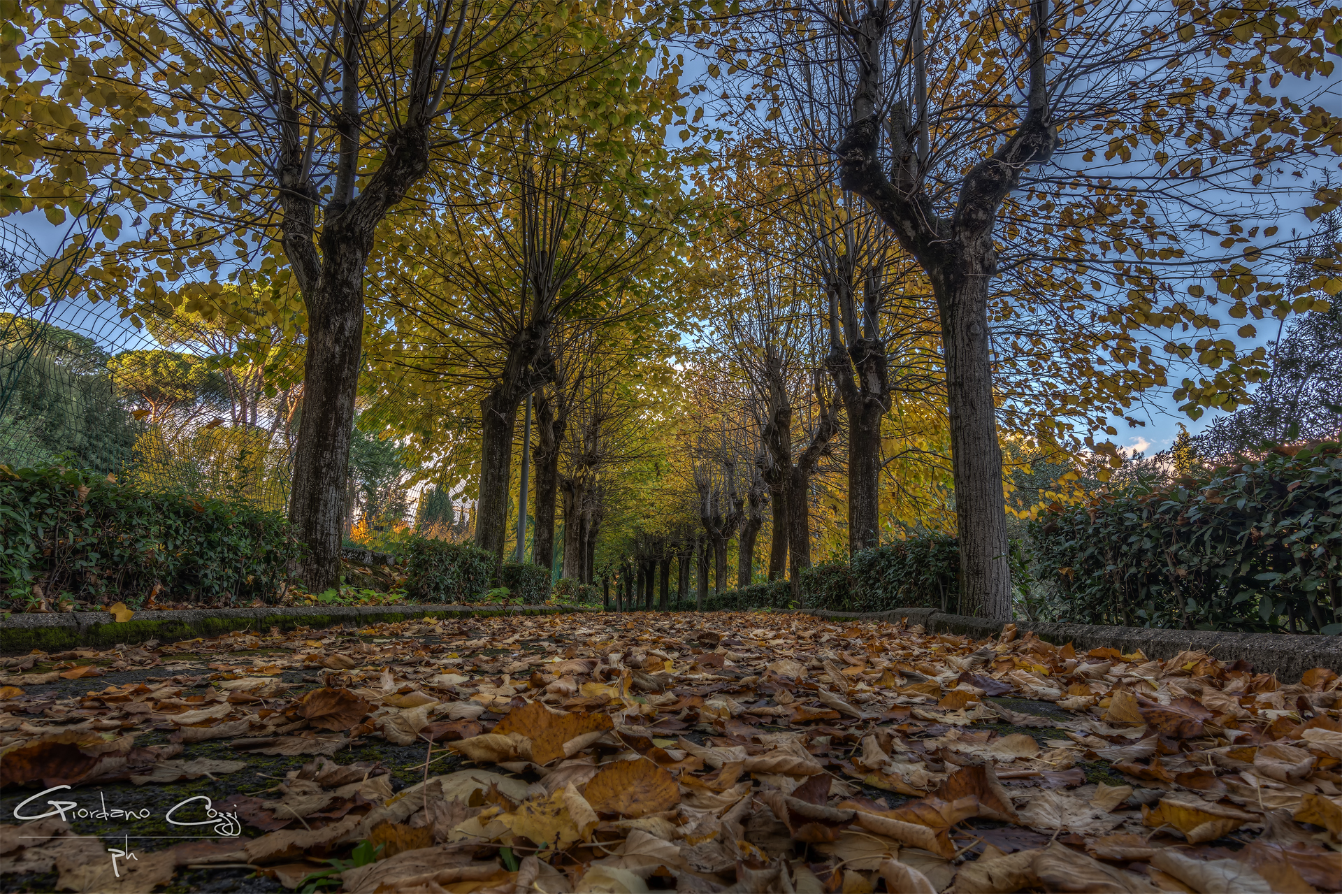 I go to two steps ...