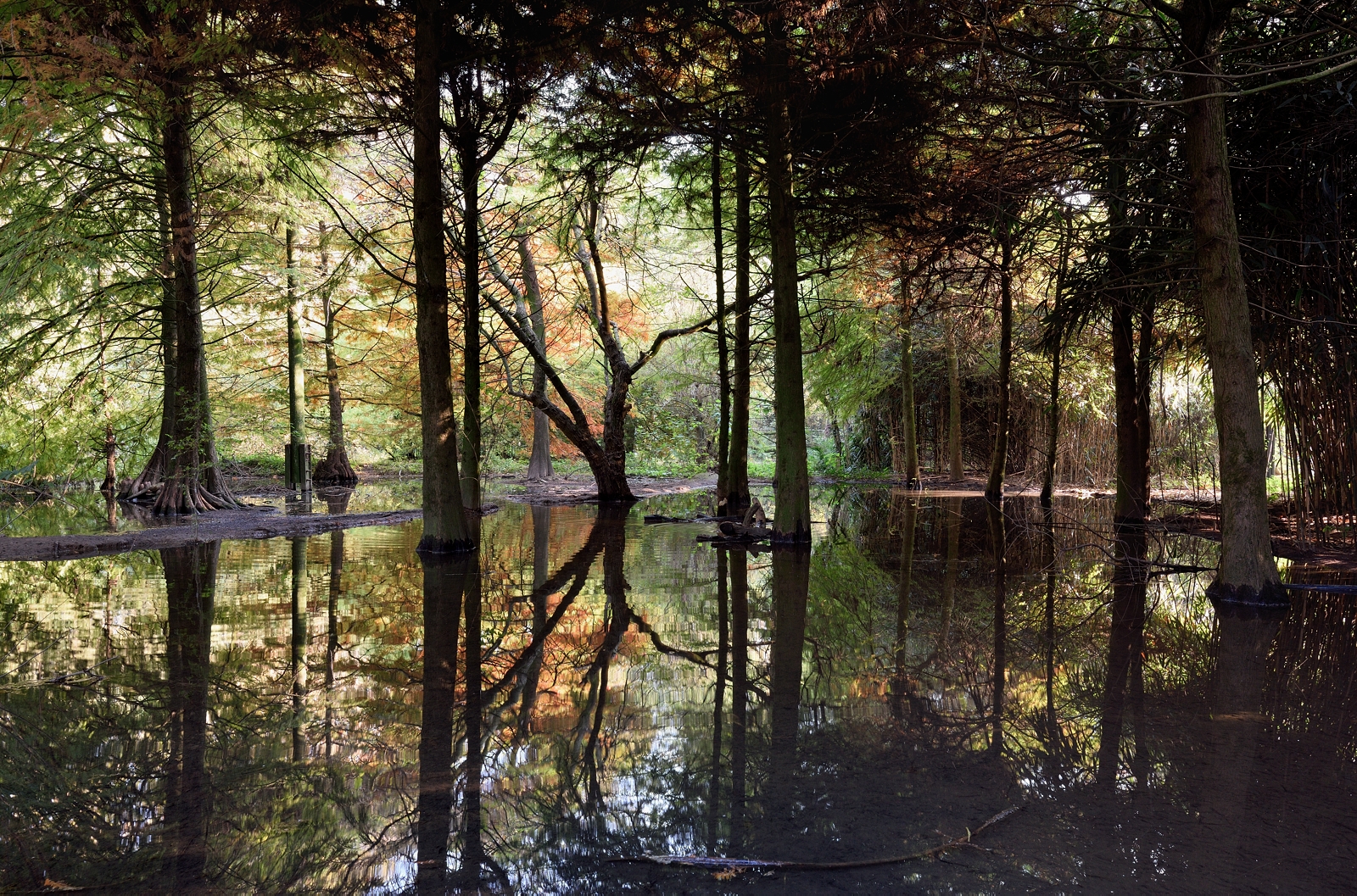 Bentornato autunno 2