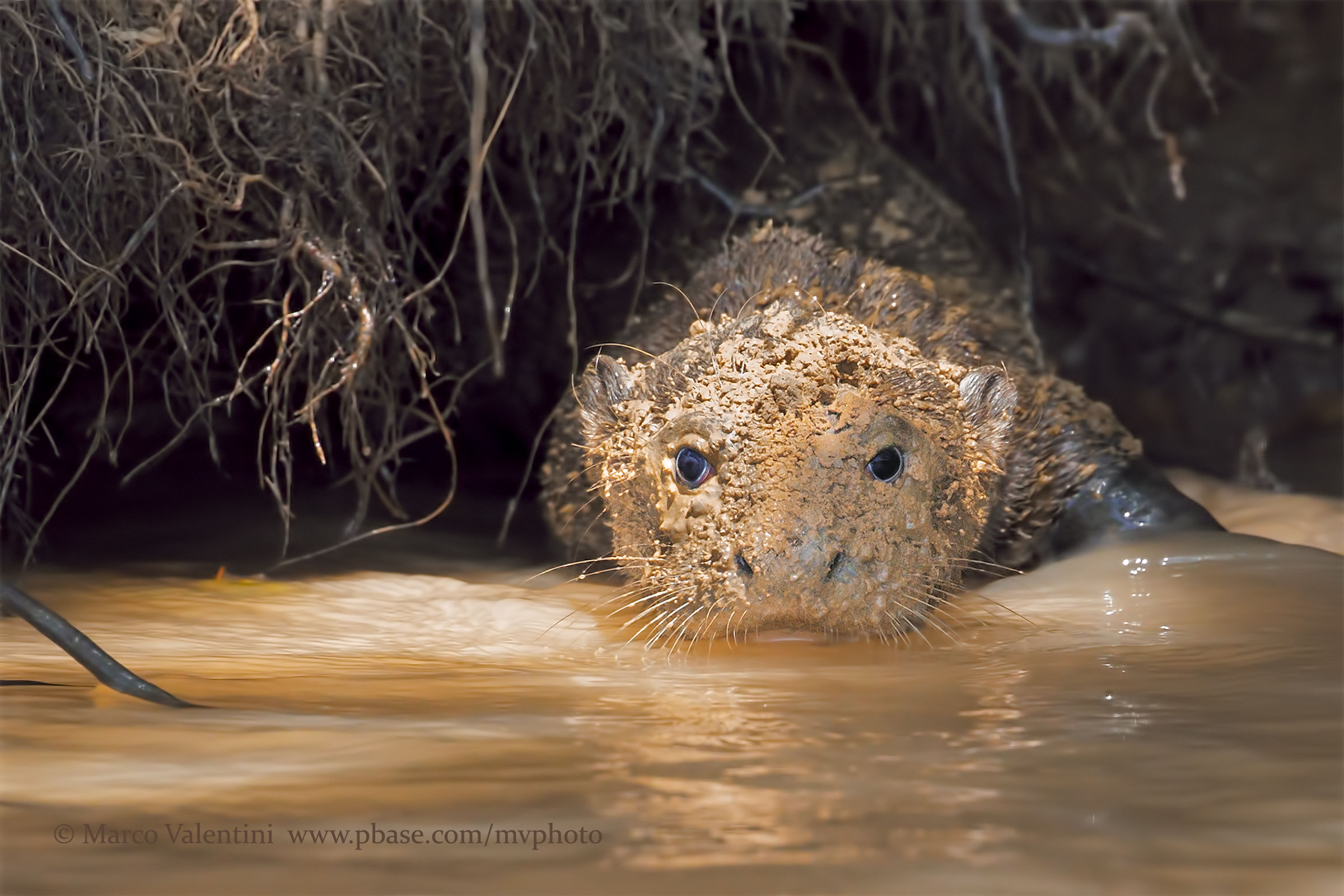 La maschera di fango