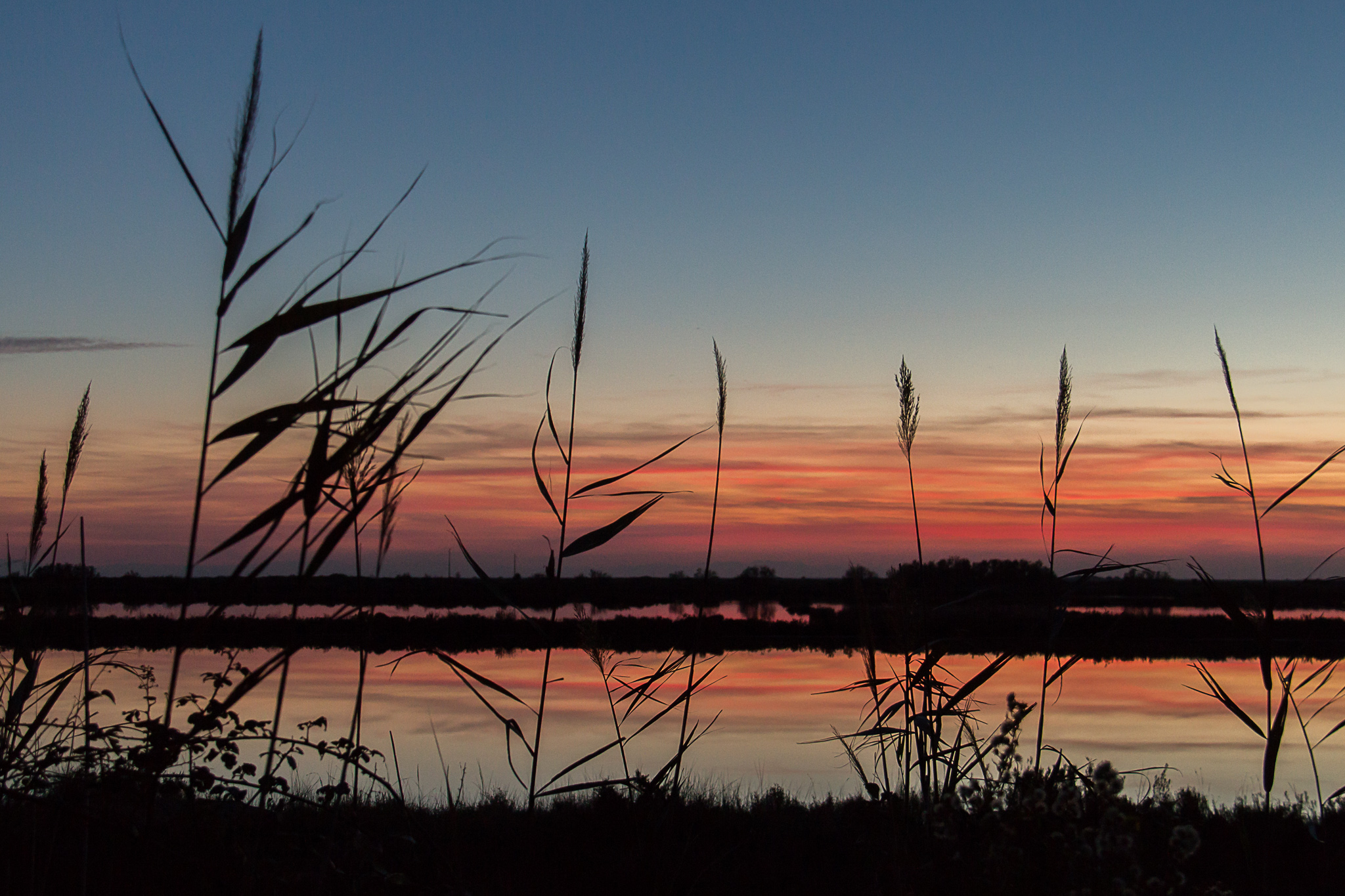 I veri spettatori del tramonto