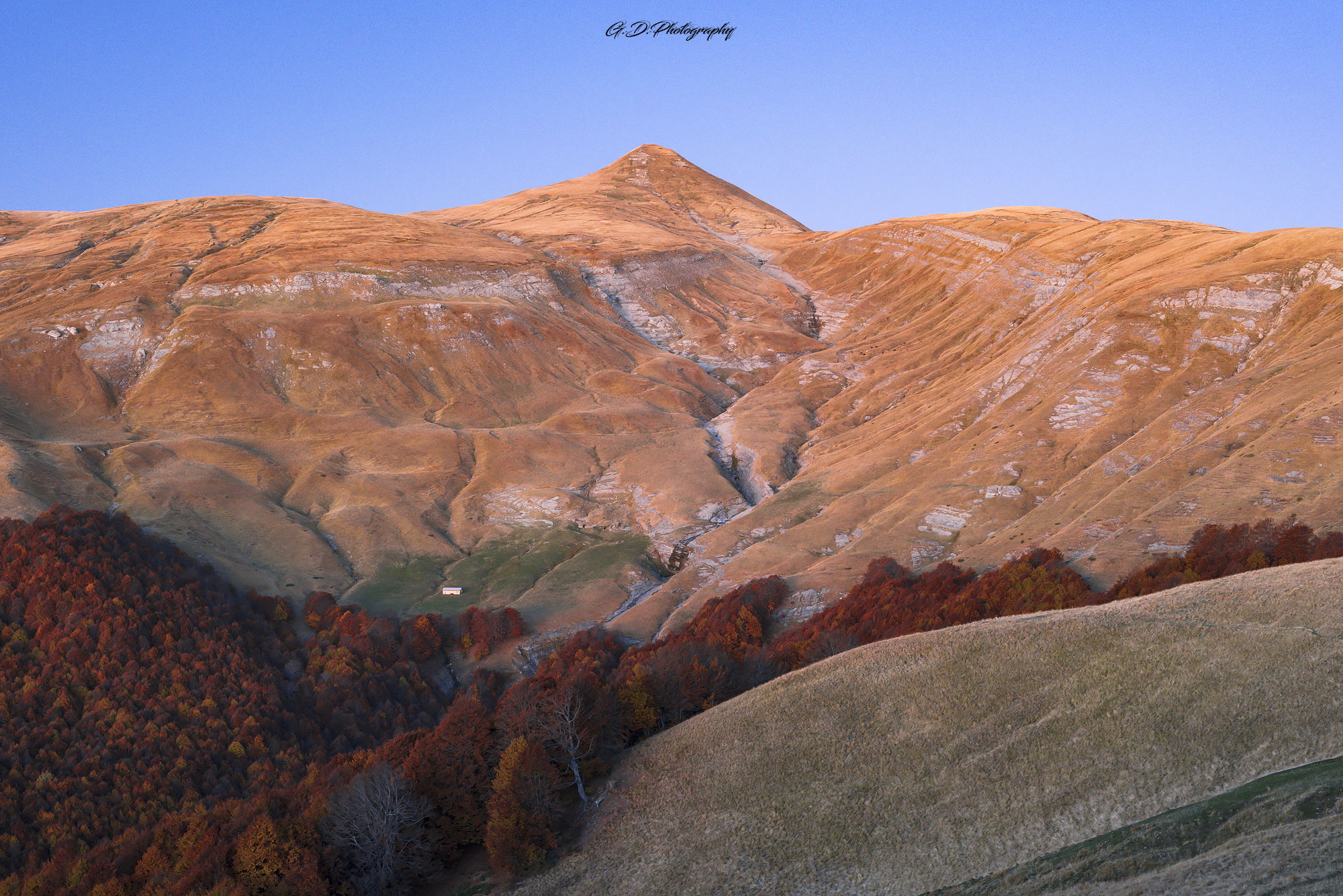 Lace of Moscio - Laga Mountains