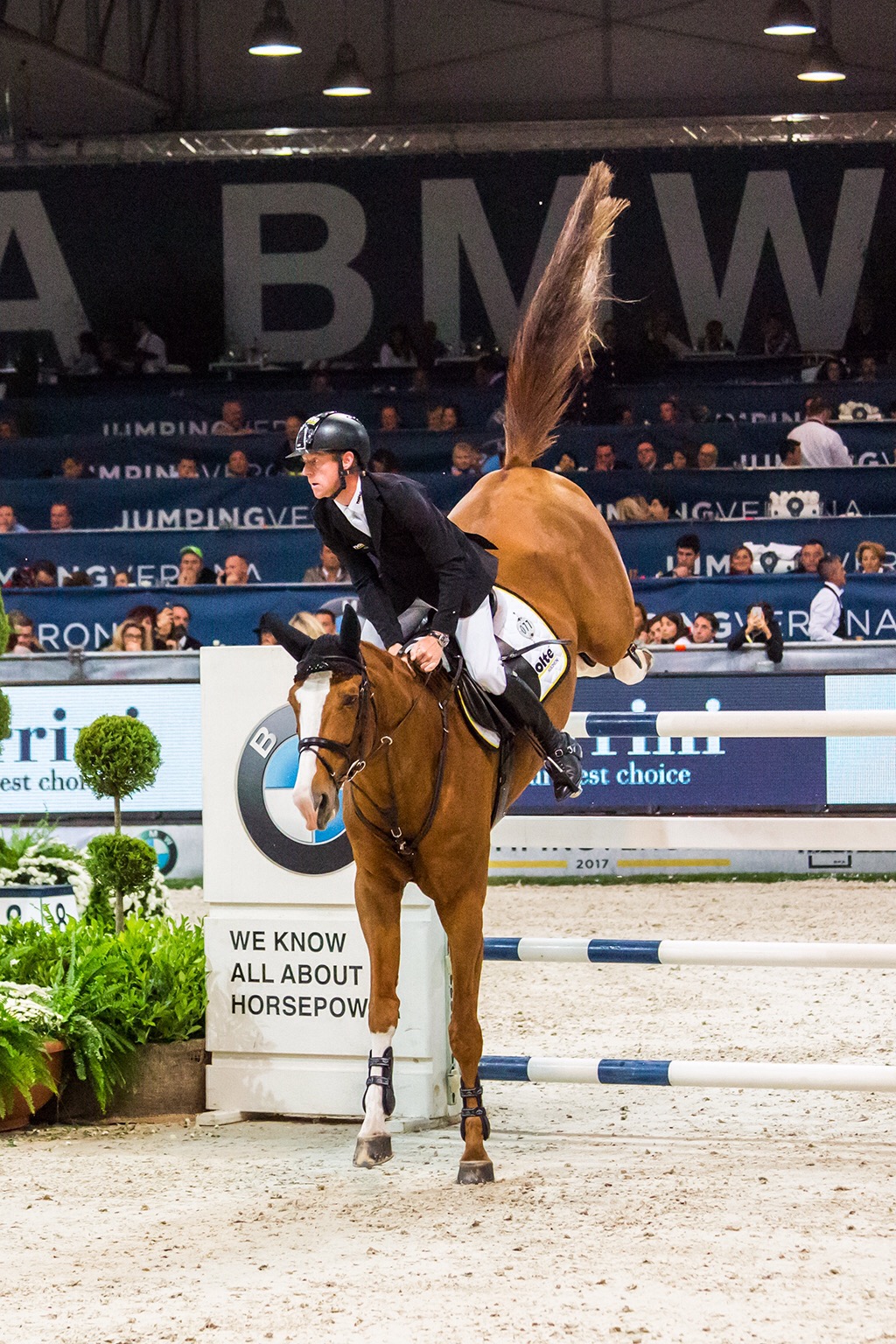 Ponytail -Jumping Verona 2017 #1