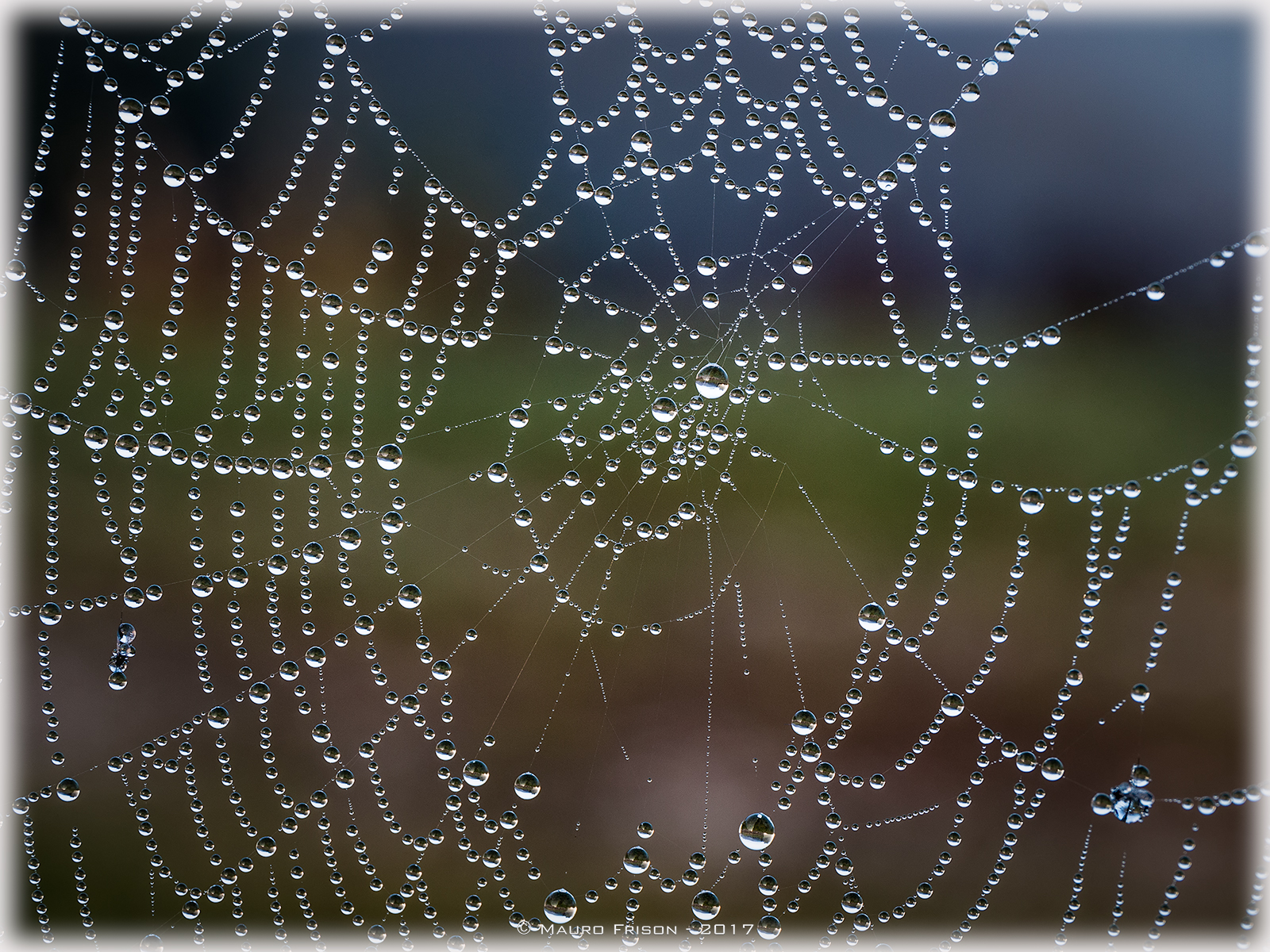 The perfection of mother nature