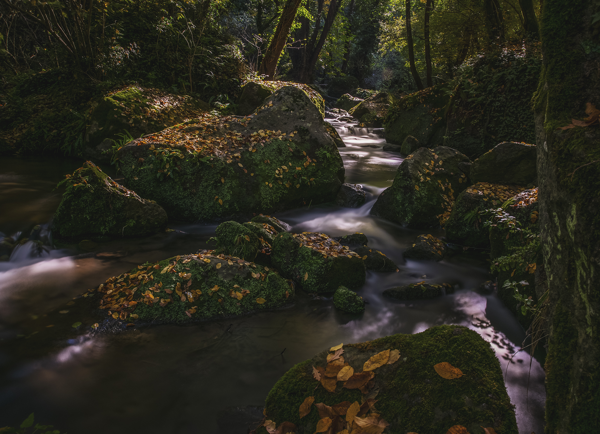 The beginning of Autumn