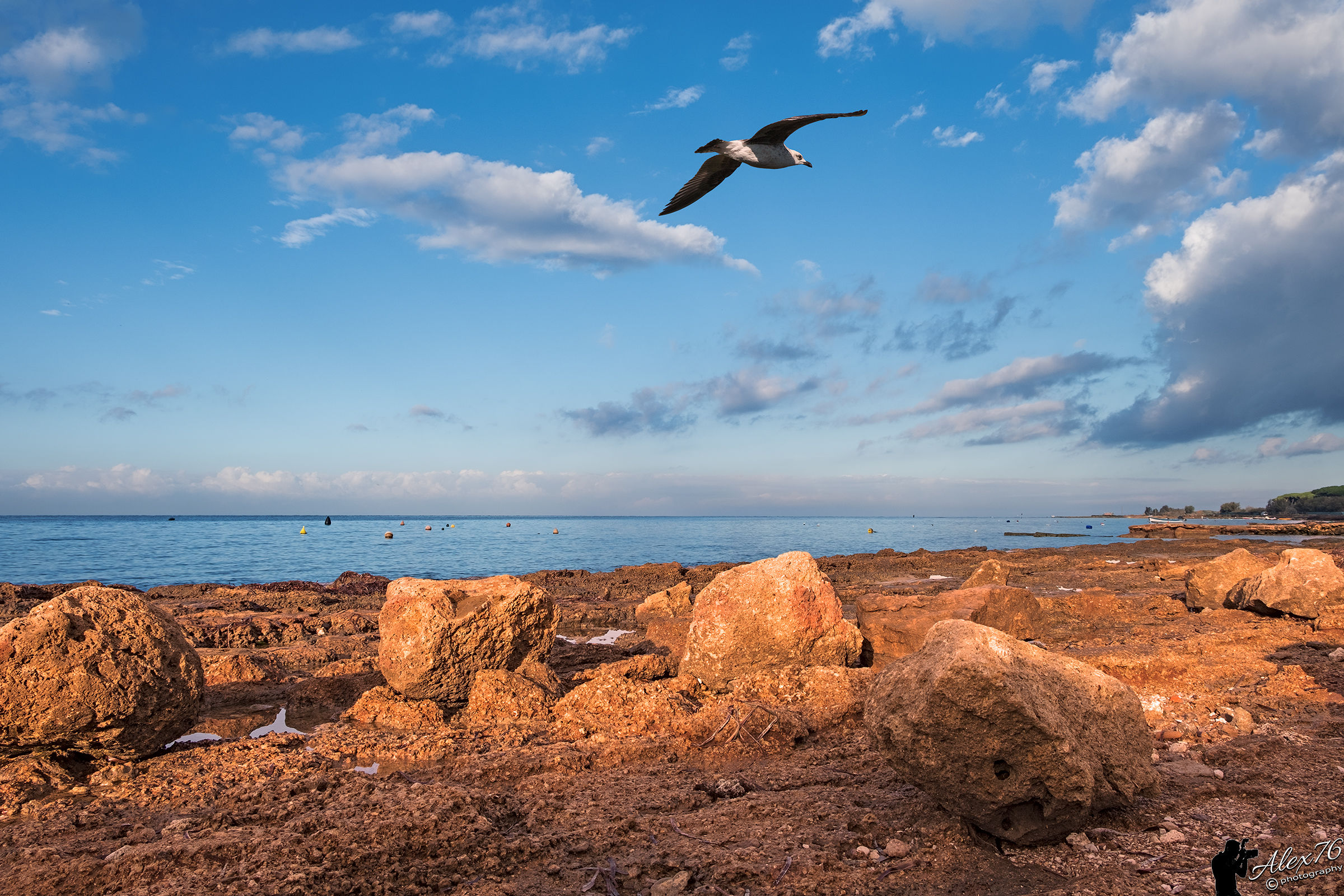 Hot and cold (with intruder welcome)