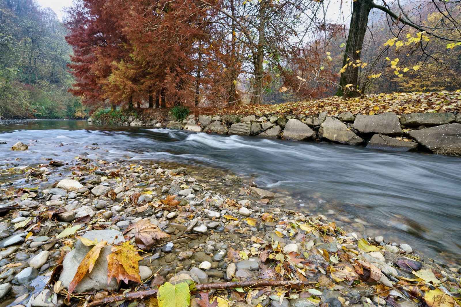 Autunno sul fiume