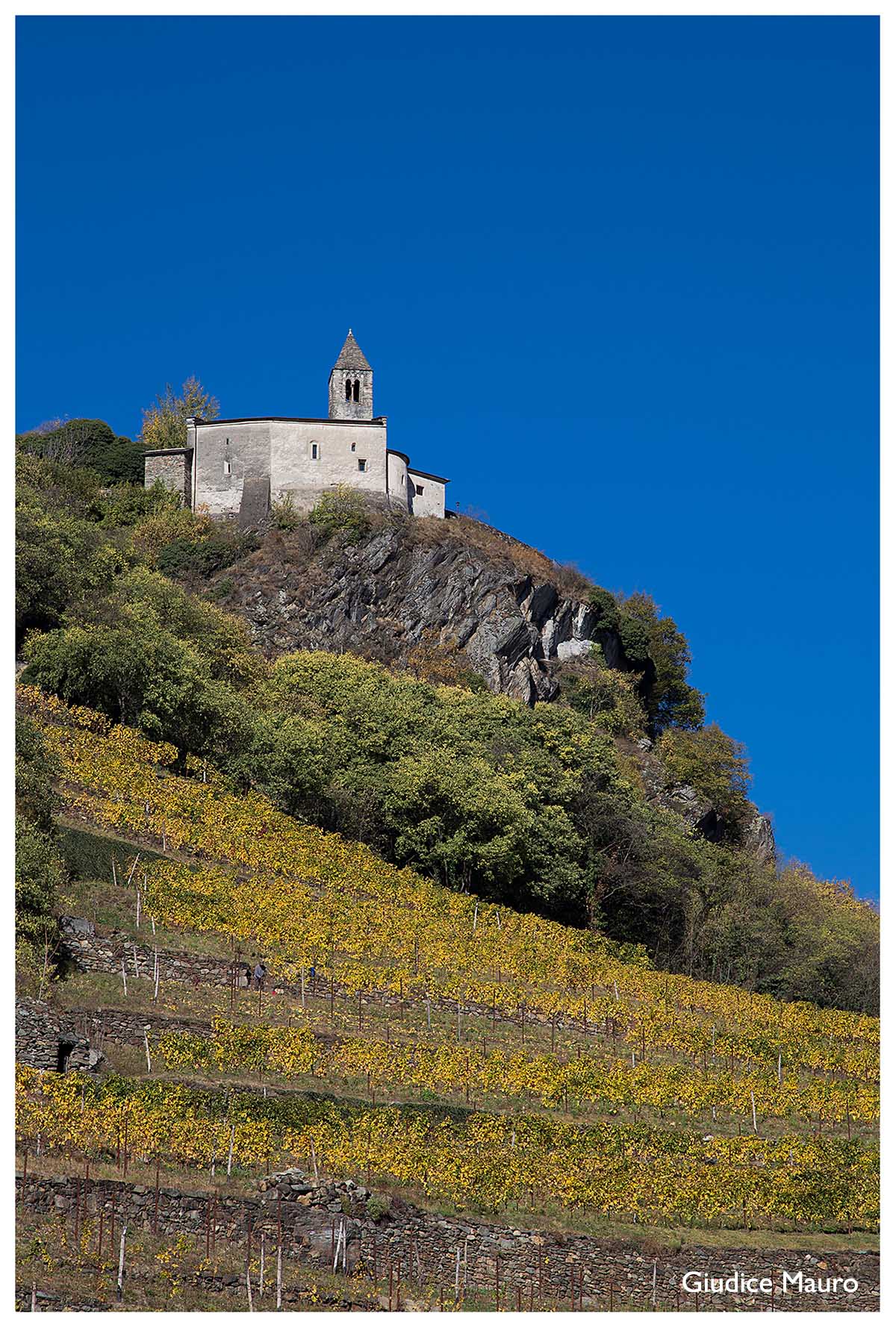 little church in the vineyards