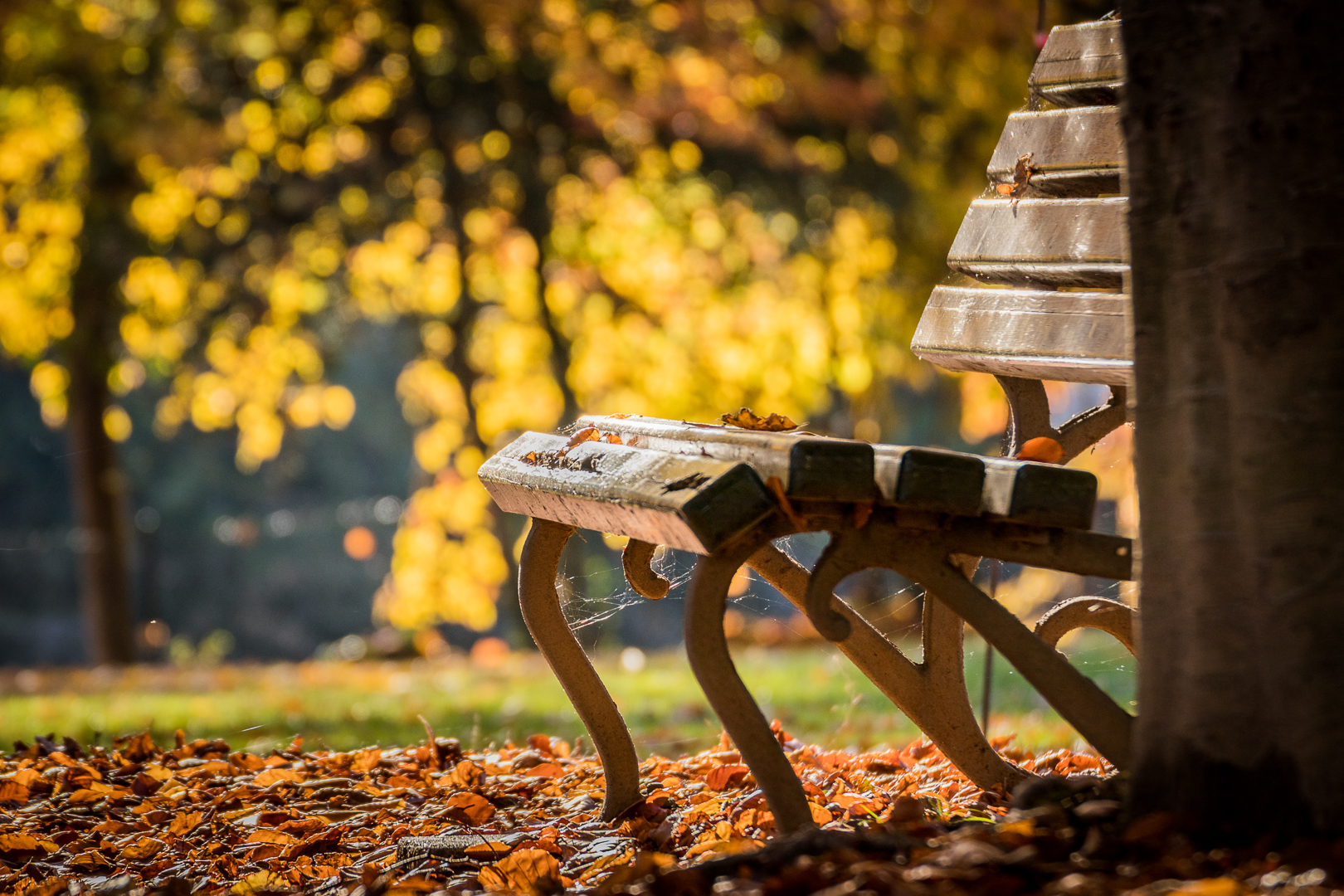 Aspettando l'inverno