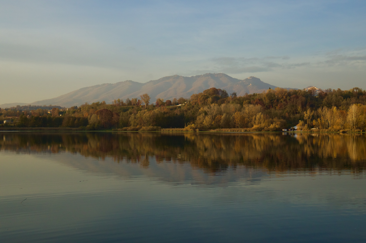 campo dei fiori da capolago