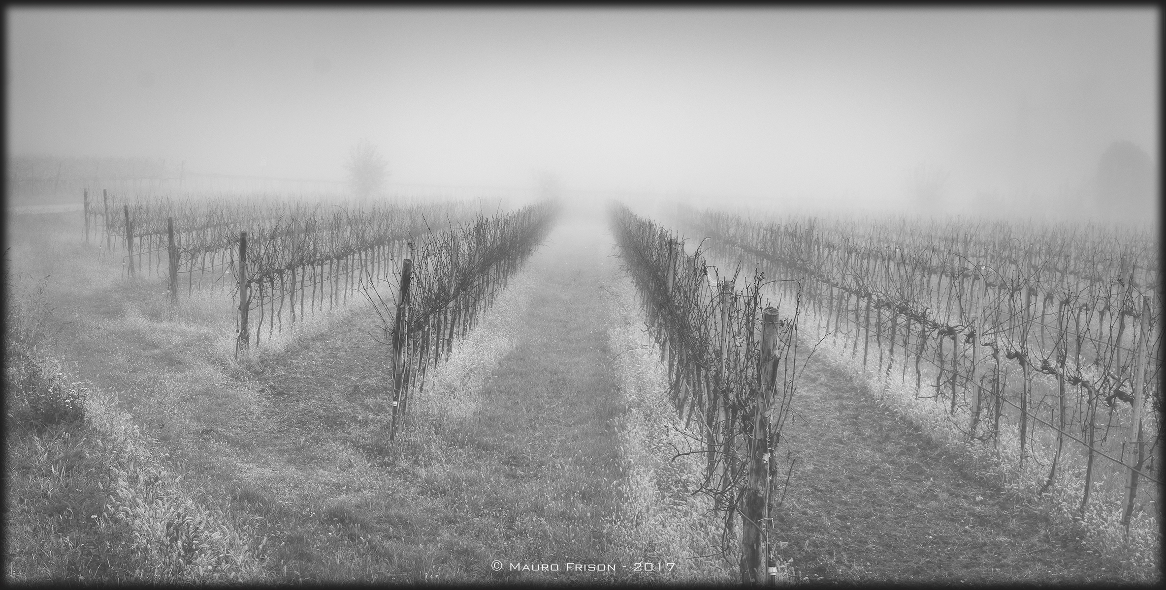 Platoon! At .... try!