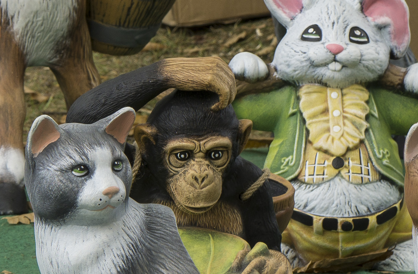 Cosa dovevo fare????