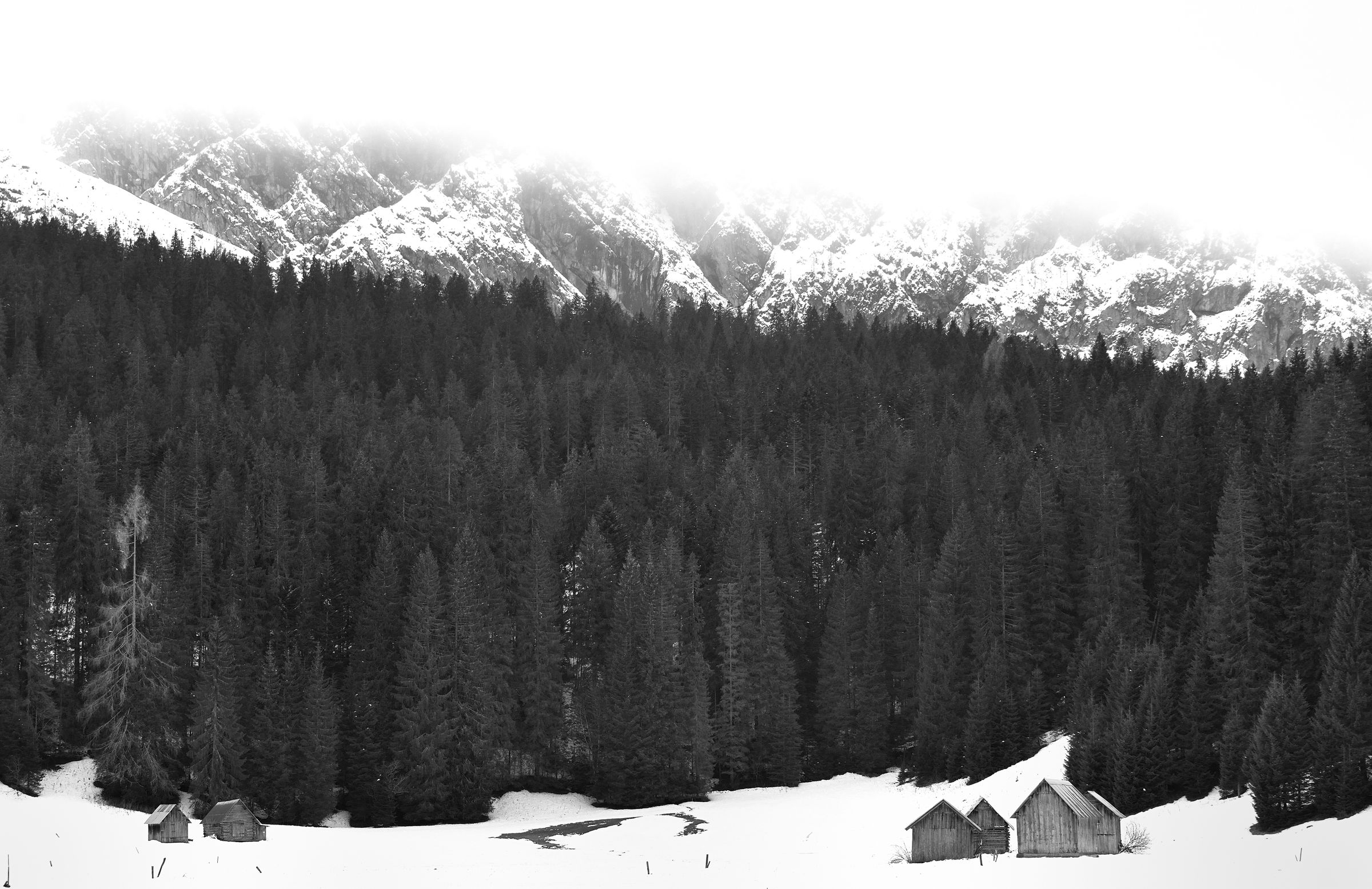 First snow in Sappada ...