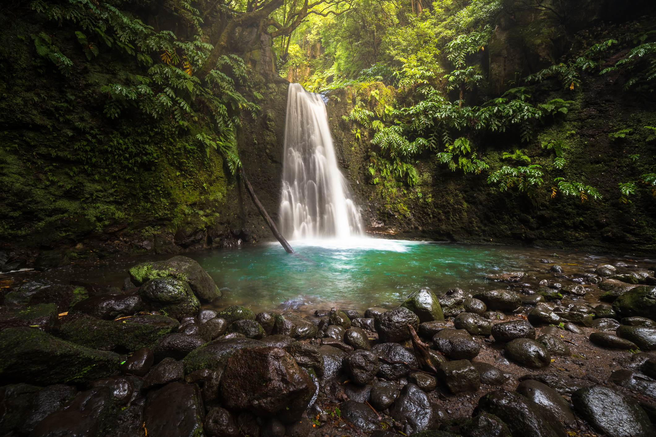 Salto do prego, Azores