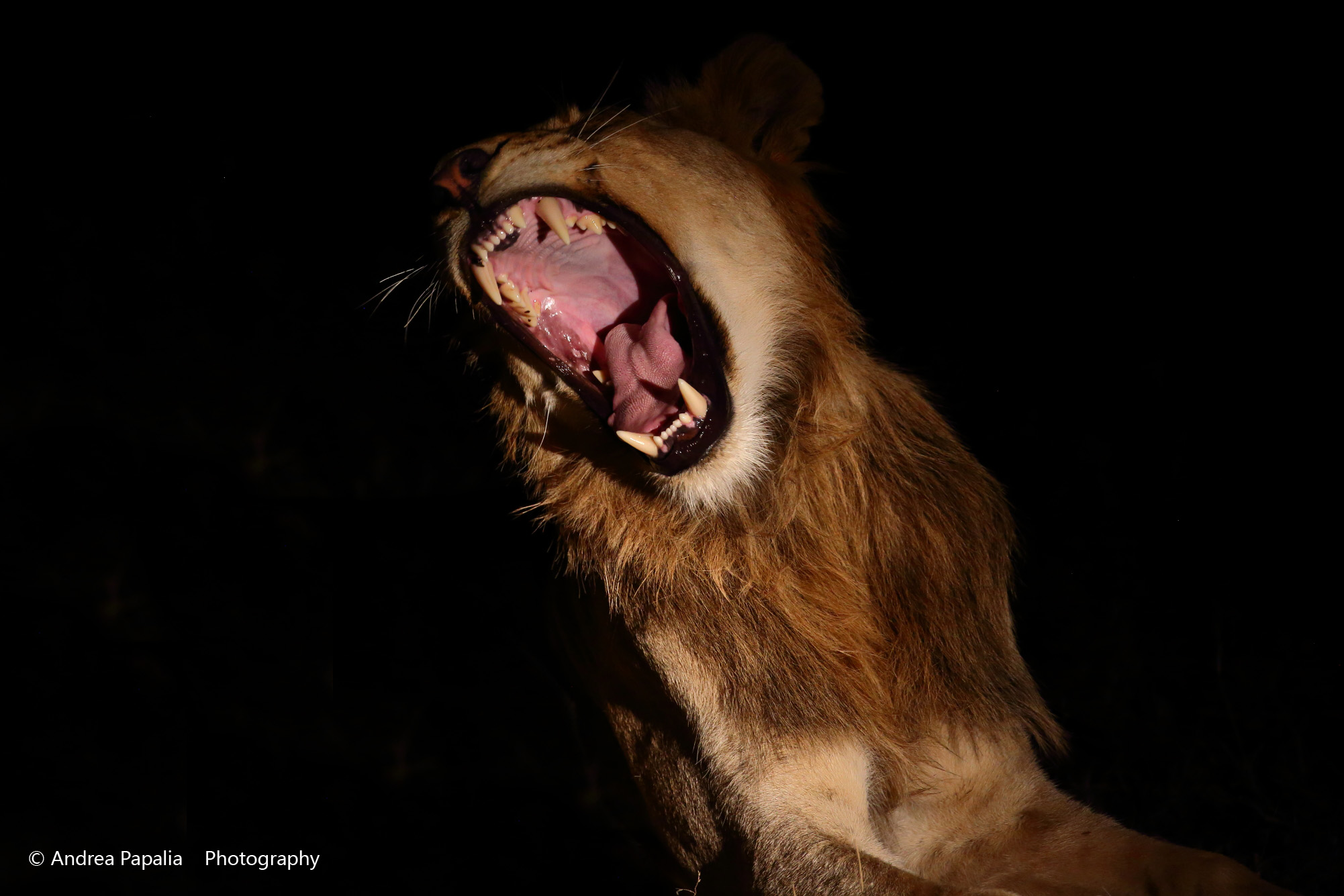 Svegliami un'altra volta..