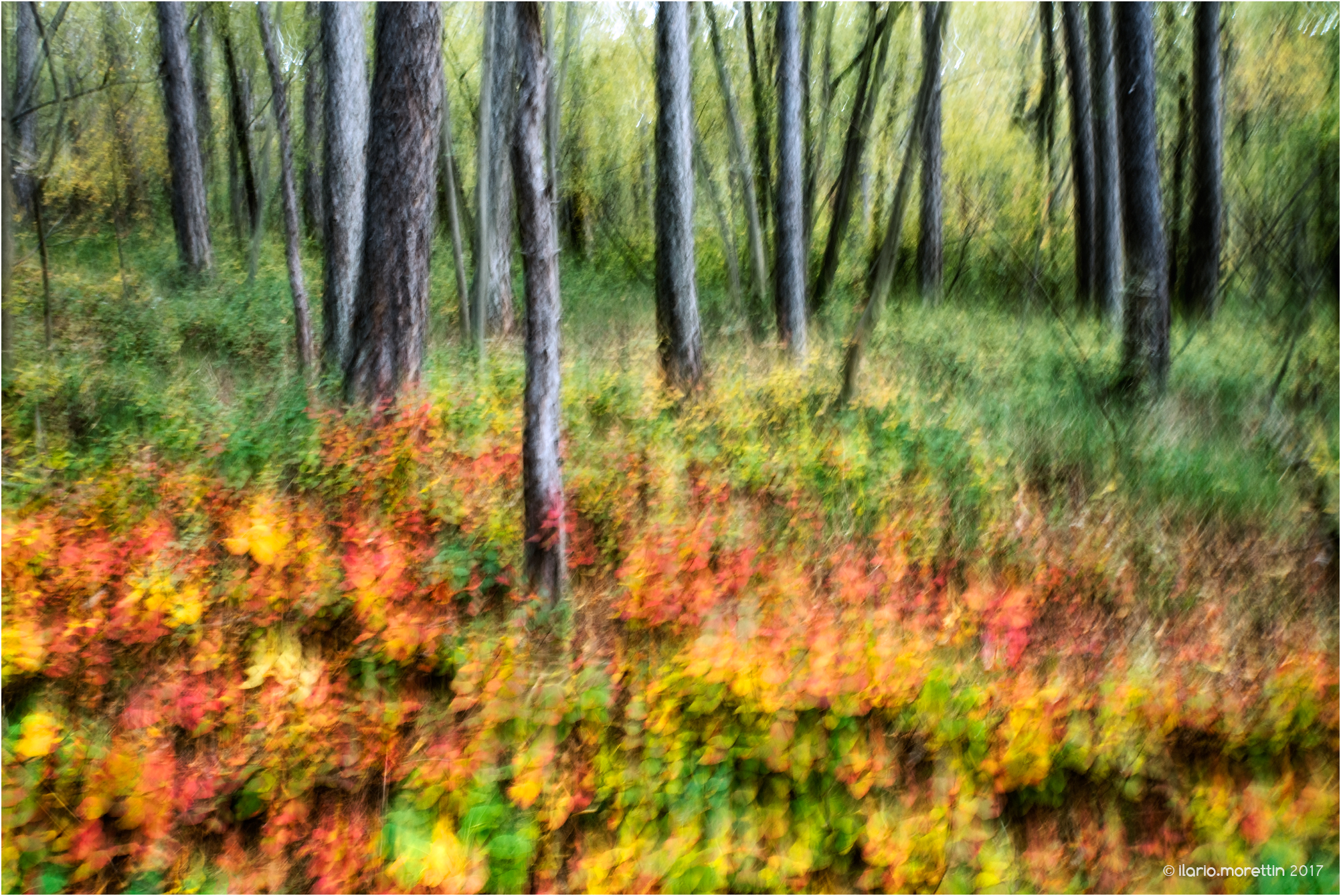 Autumnal chromotherapy