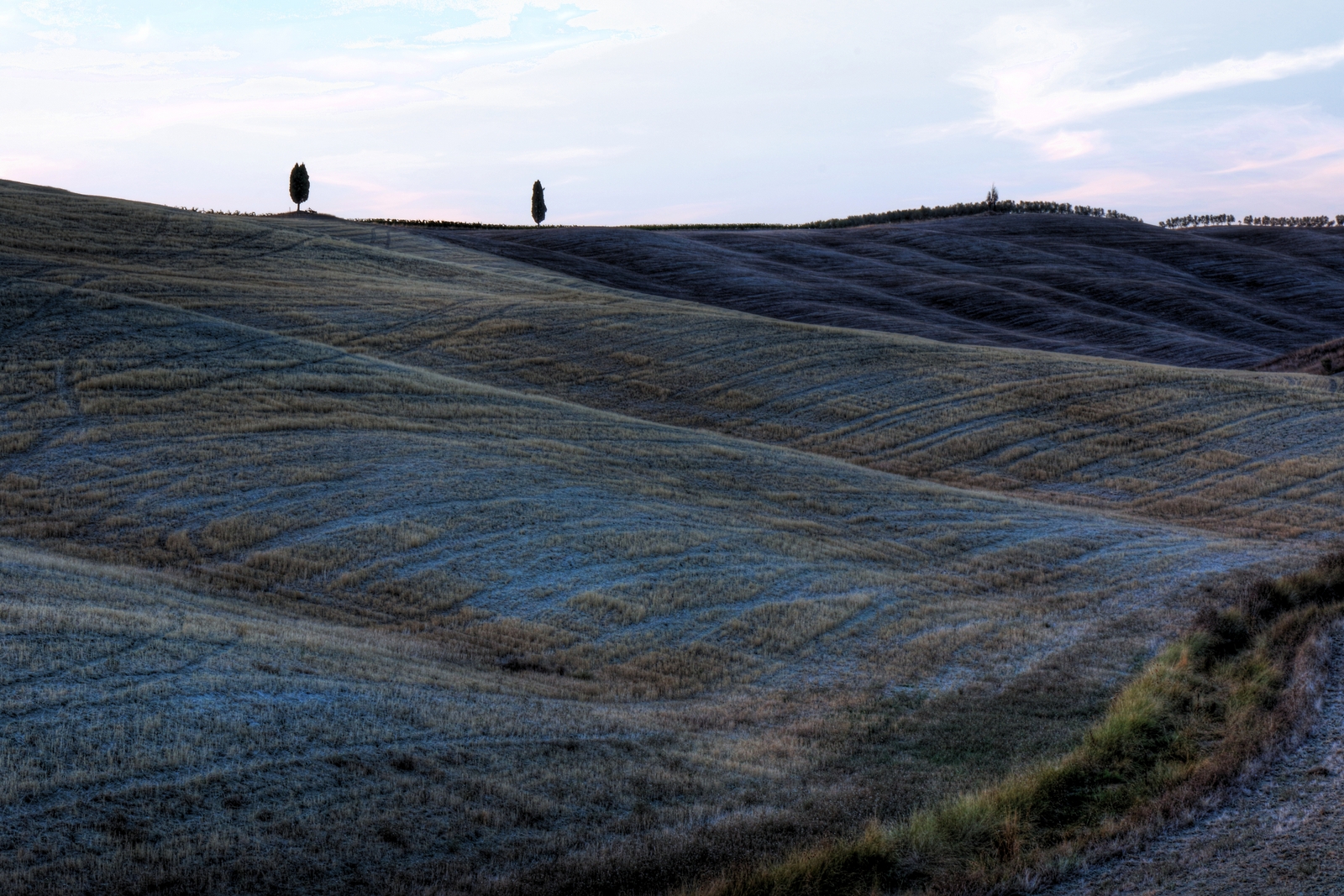 Sanquirico d'orcia YES 1