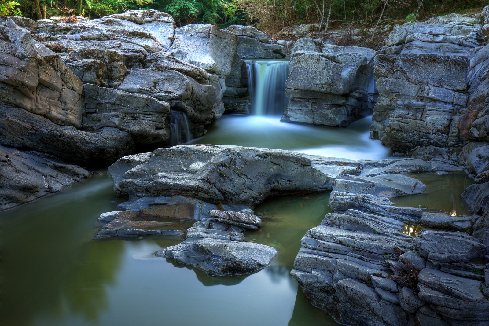 Canaloni Torniella GR 1