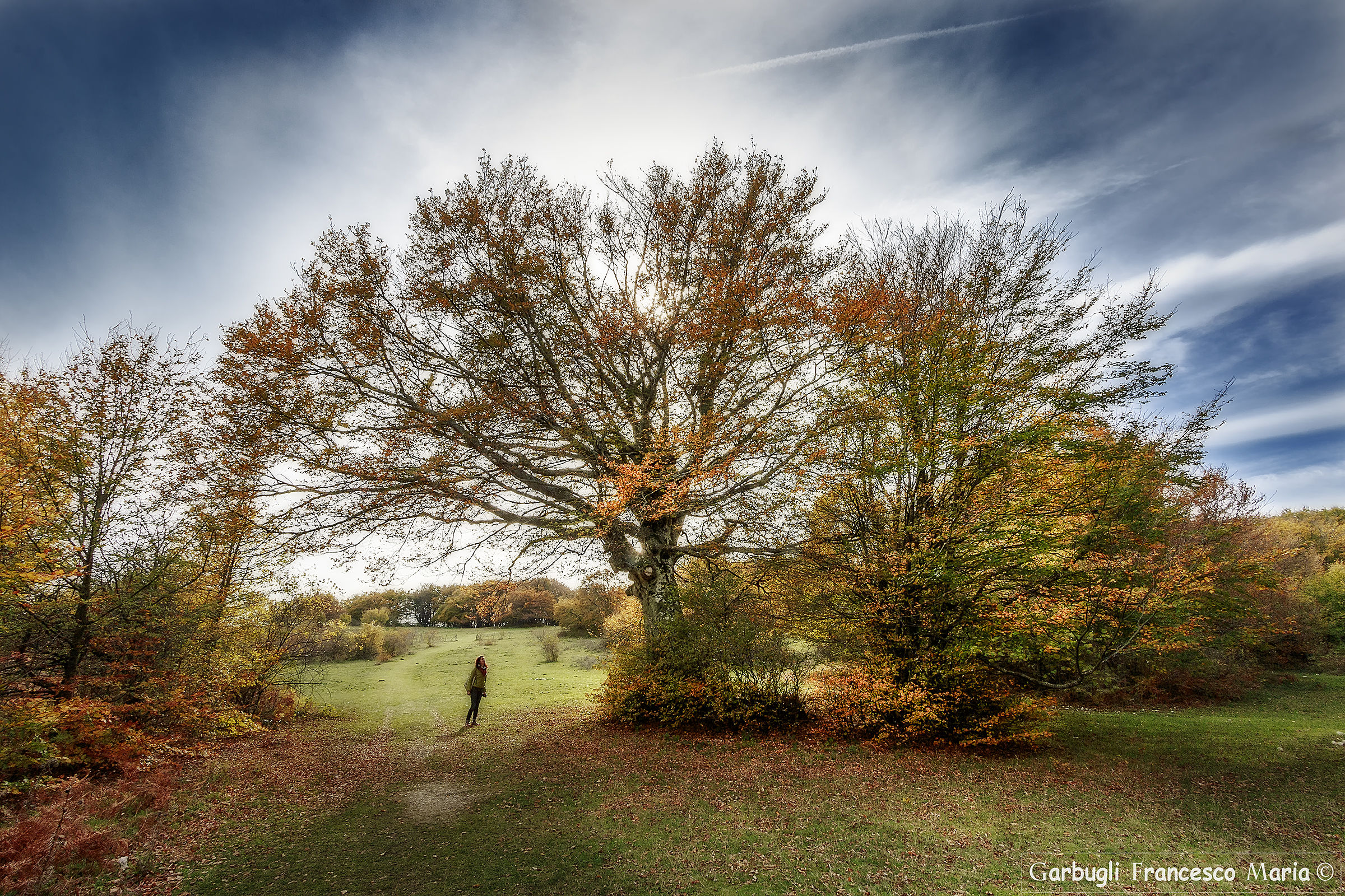 The immensity of nature