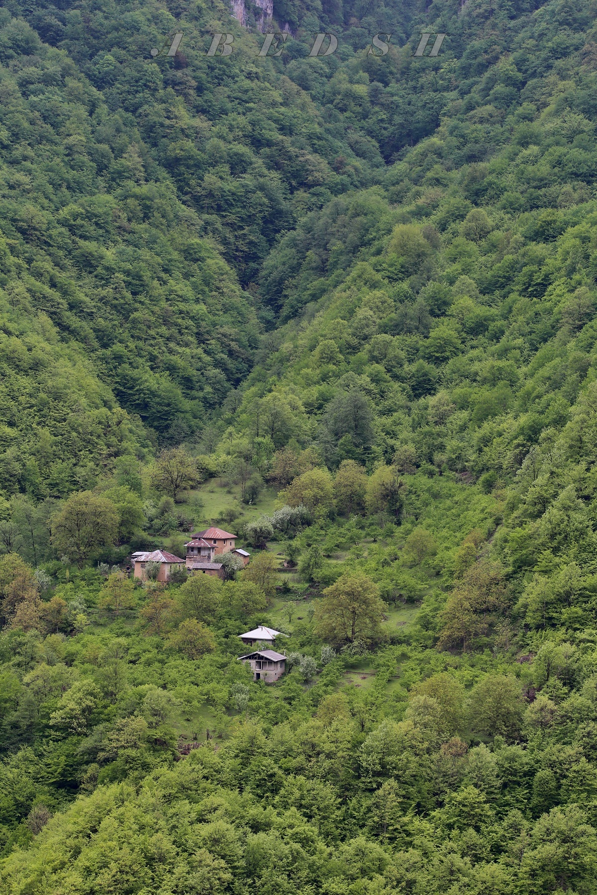 Gilan / iran