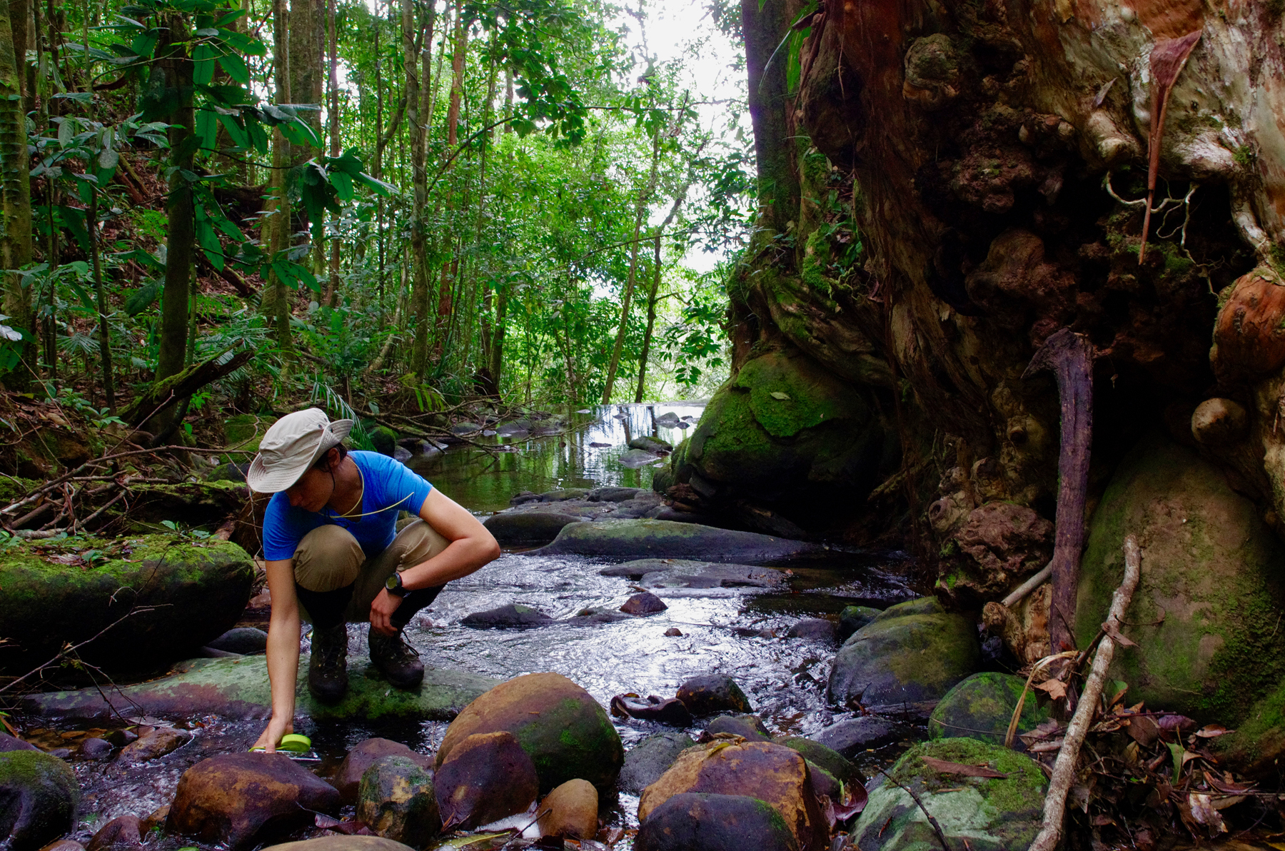 Long Bawan - North Kalimantan