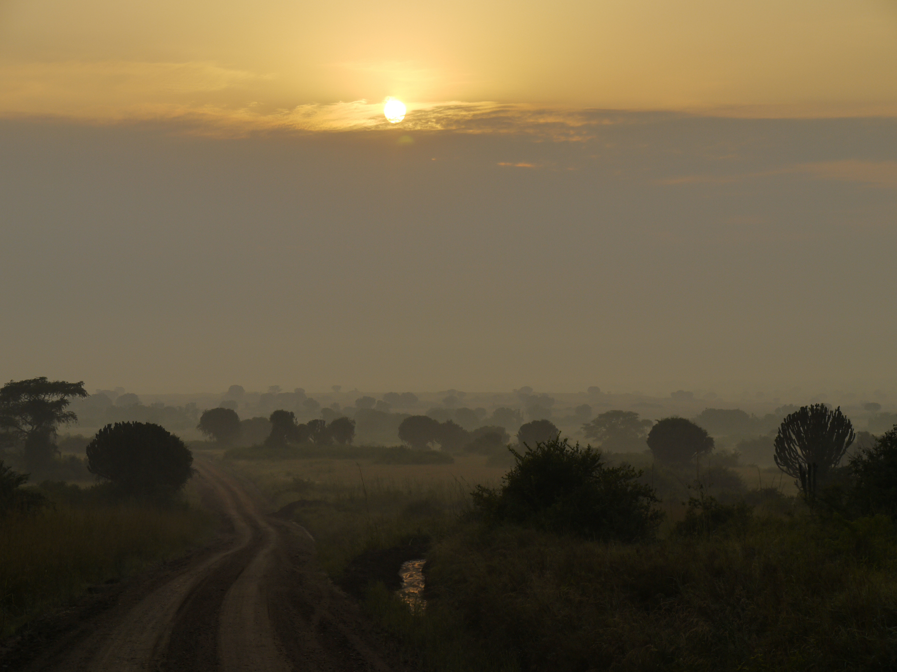 Uganda - Alba nei parchi