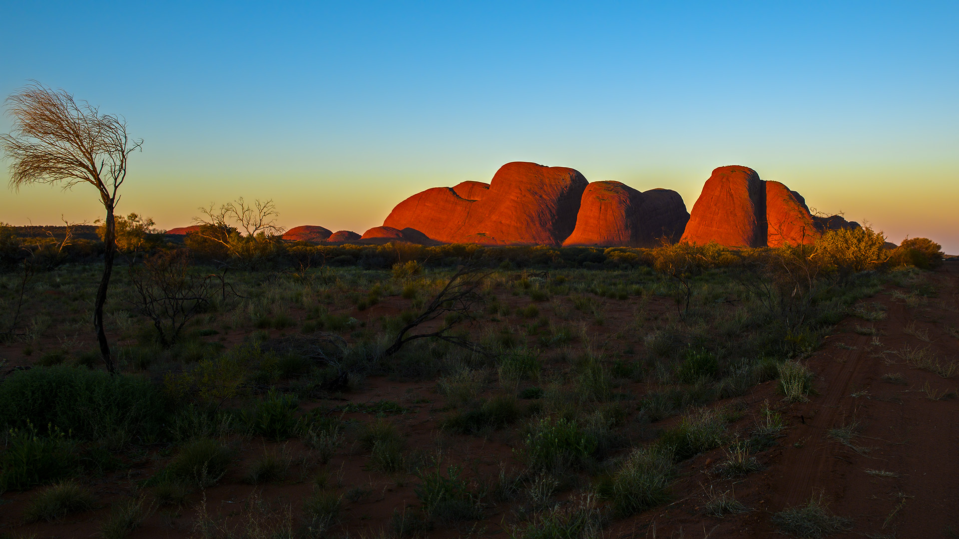 Kata Tjuta (Monti Olgas)